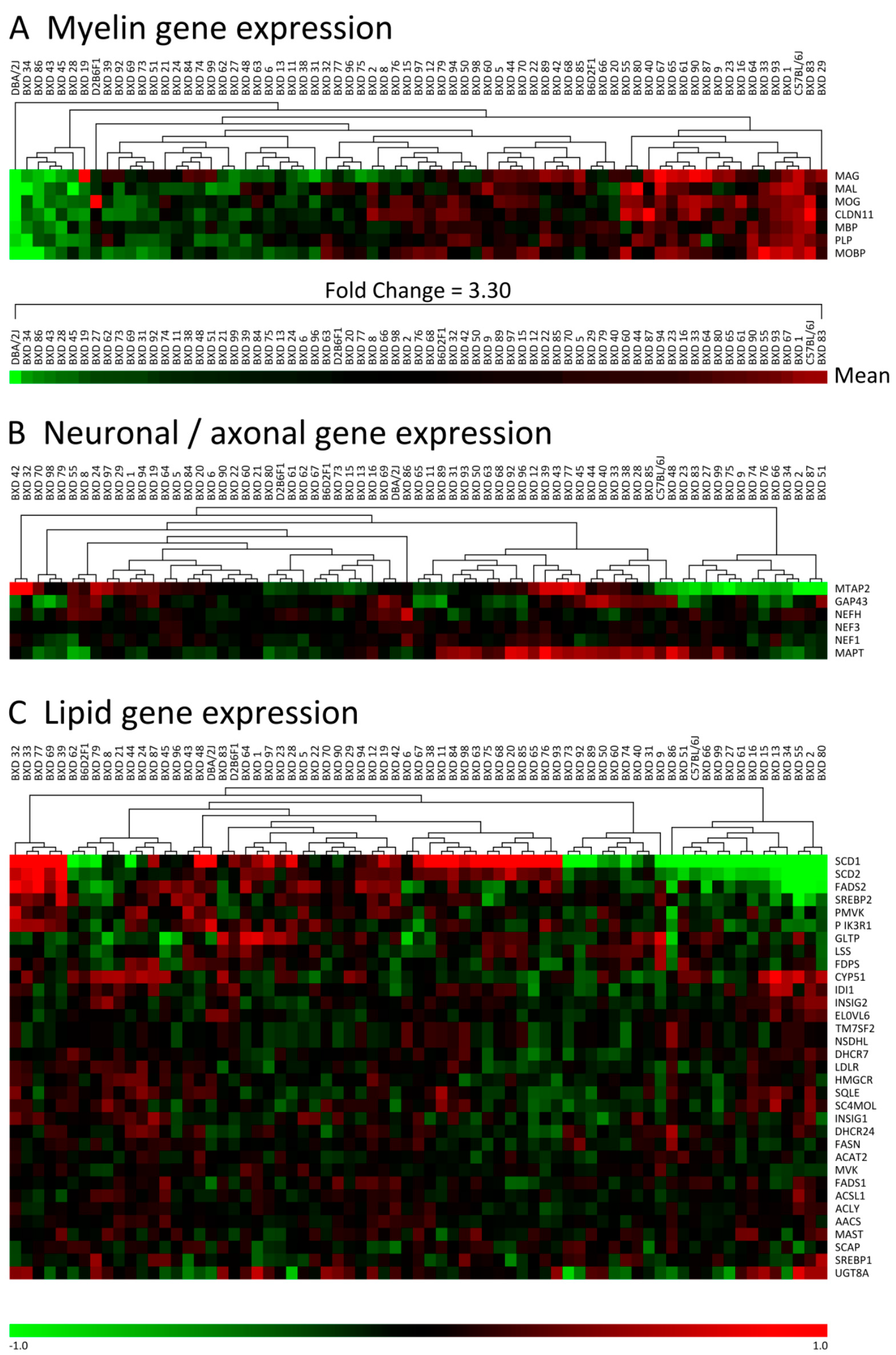 Cells 09 02119 g001 Cells 09 02119 g001