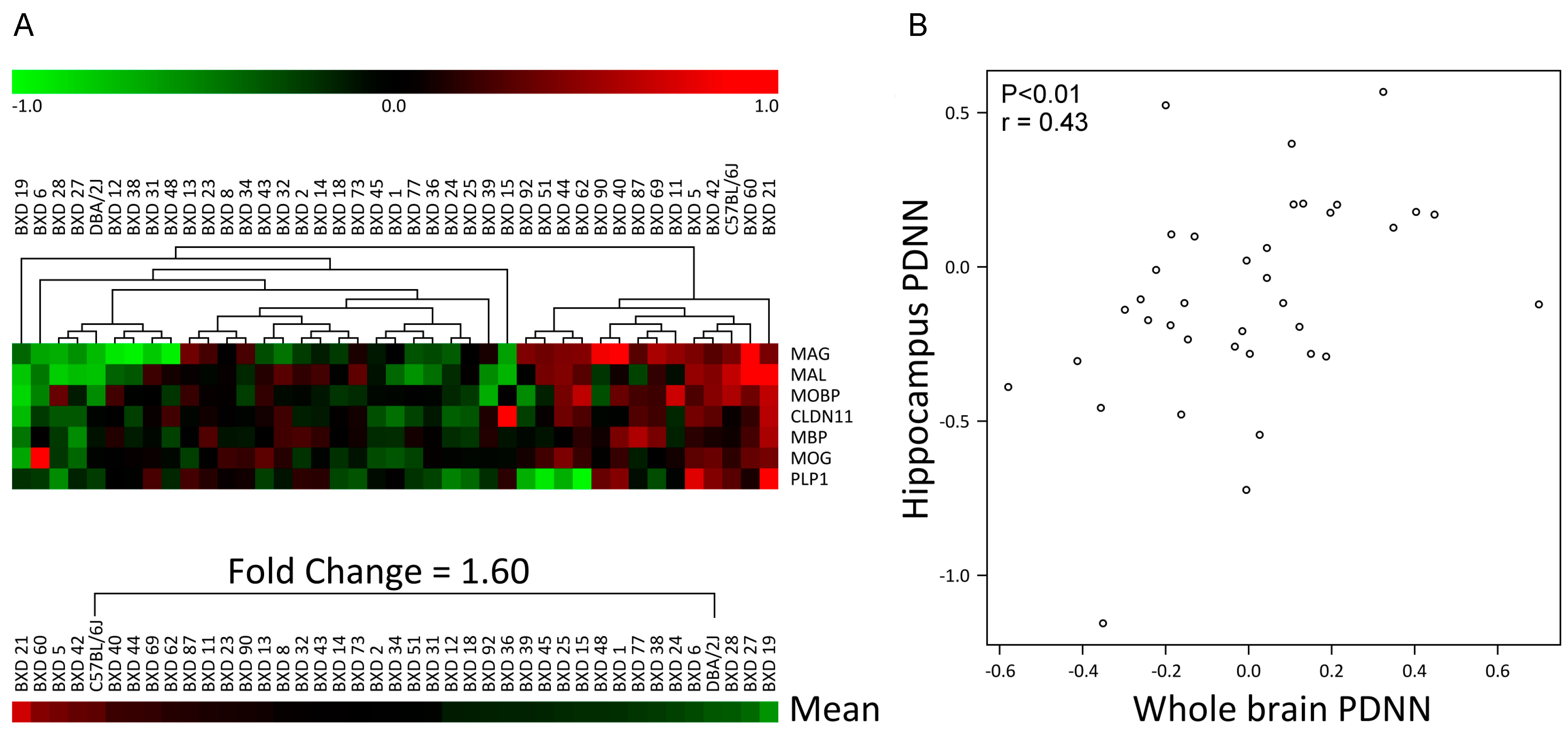Cells 09 02119 g002 Cells 09 02119 g002
