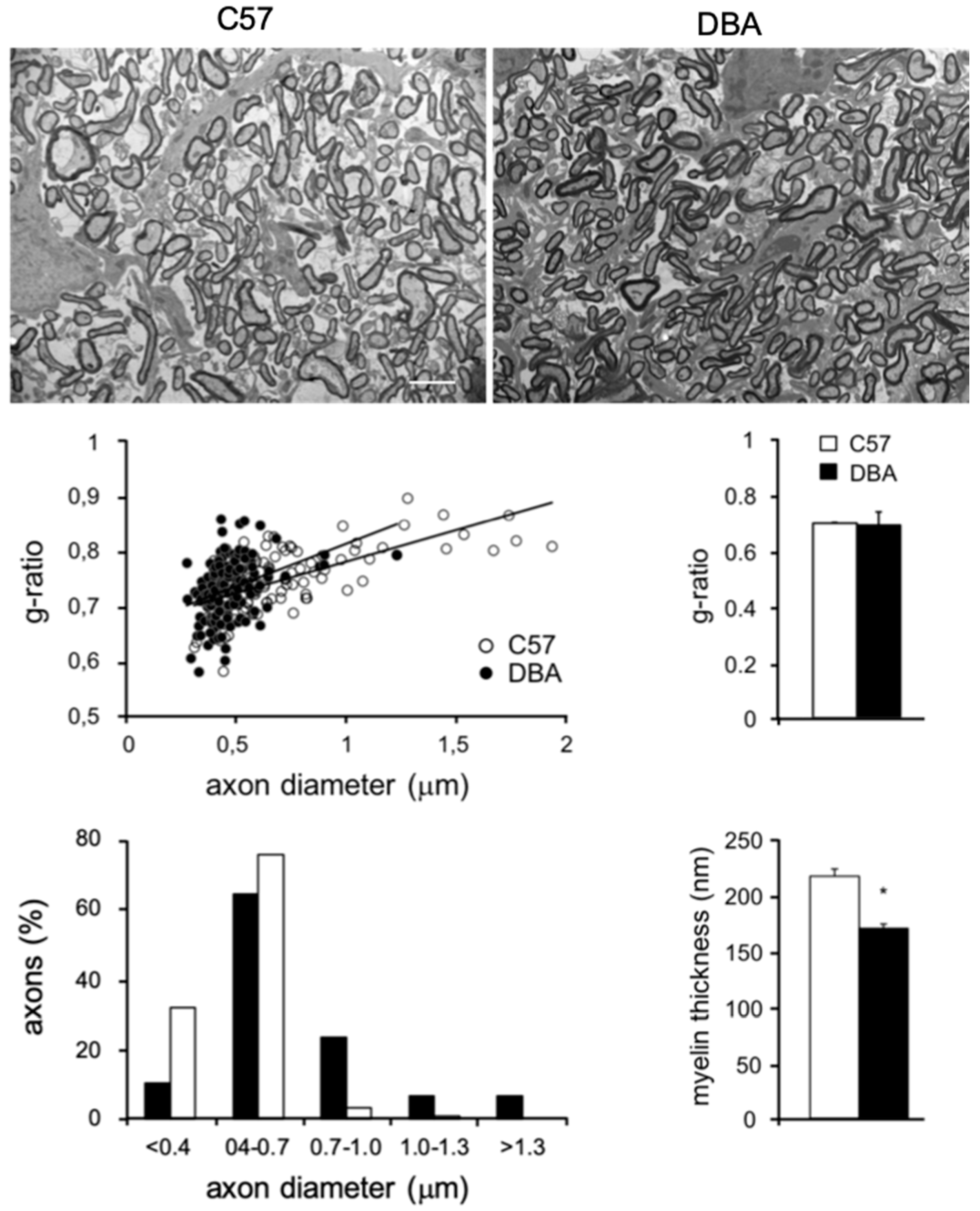Cells 09 02119 g005 Cells 09 02119 g005