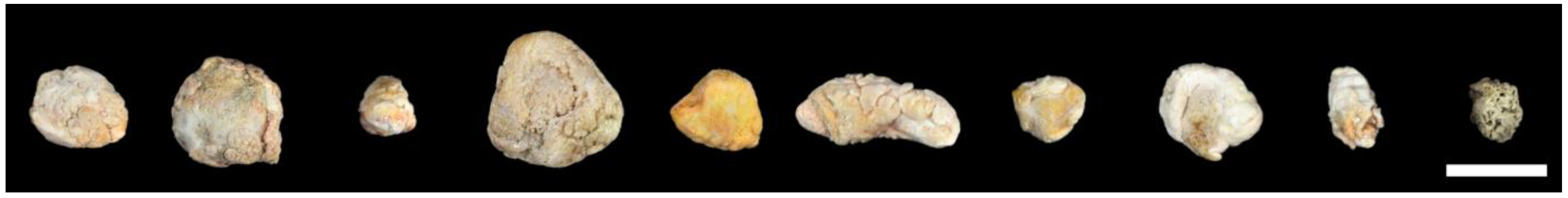 Cells 09 02139 g001 Cells 09 02139 g001