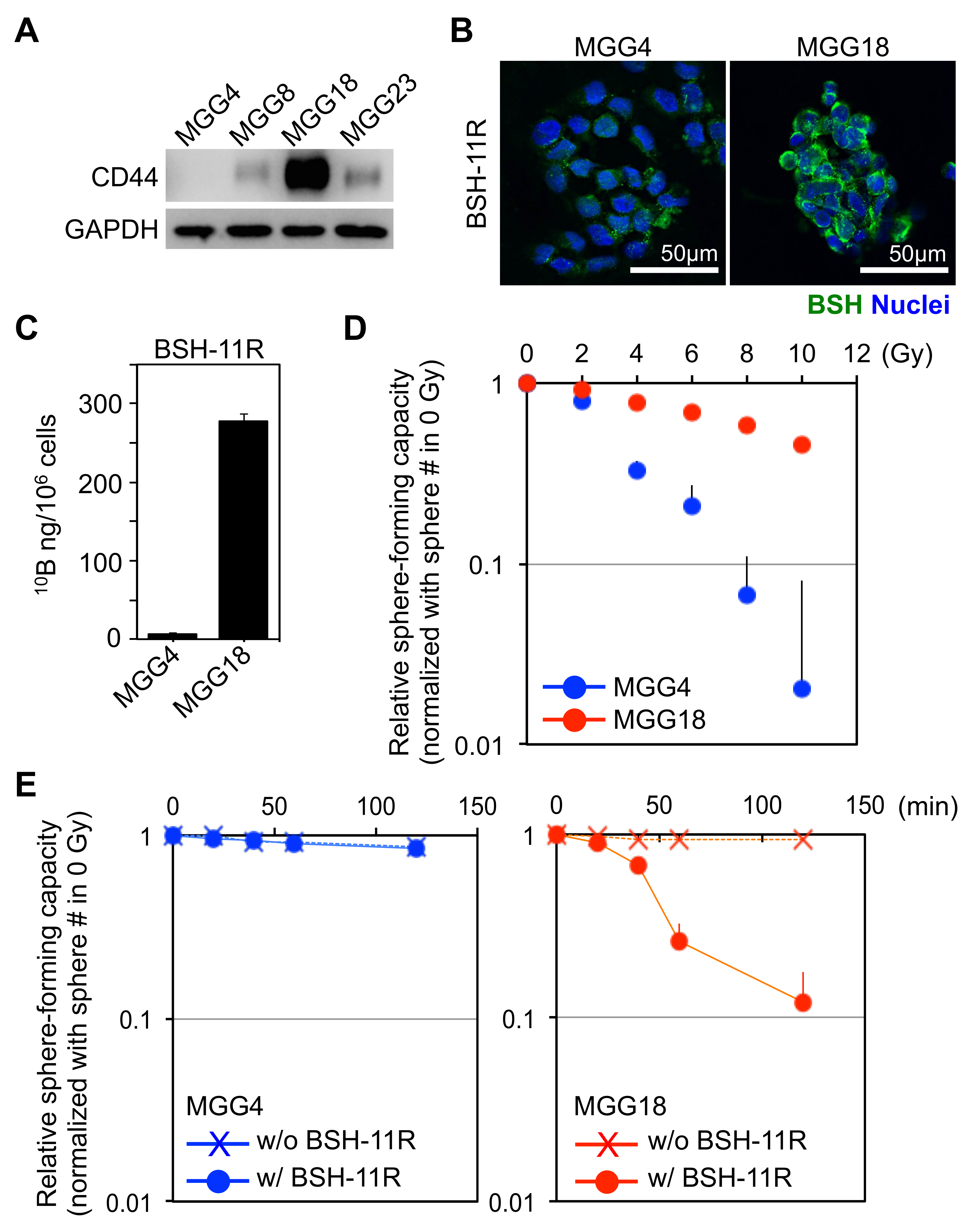 Cells 09 02149 g005 Cells 09 02149 g005