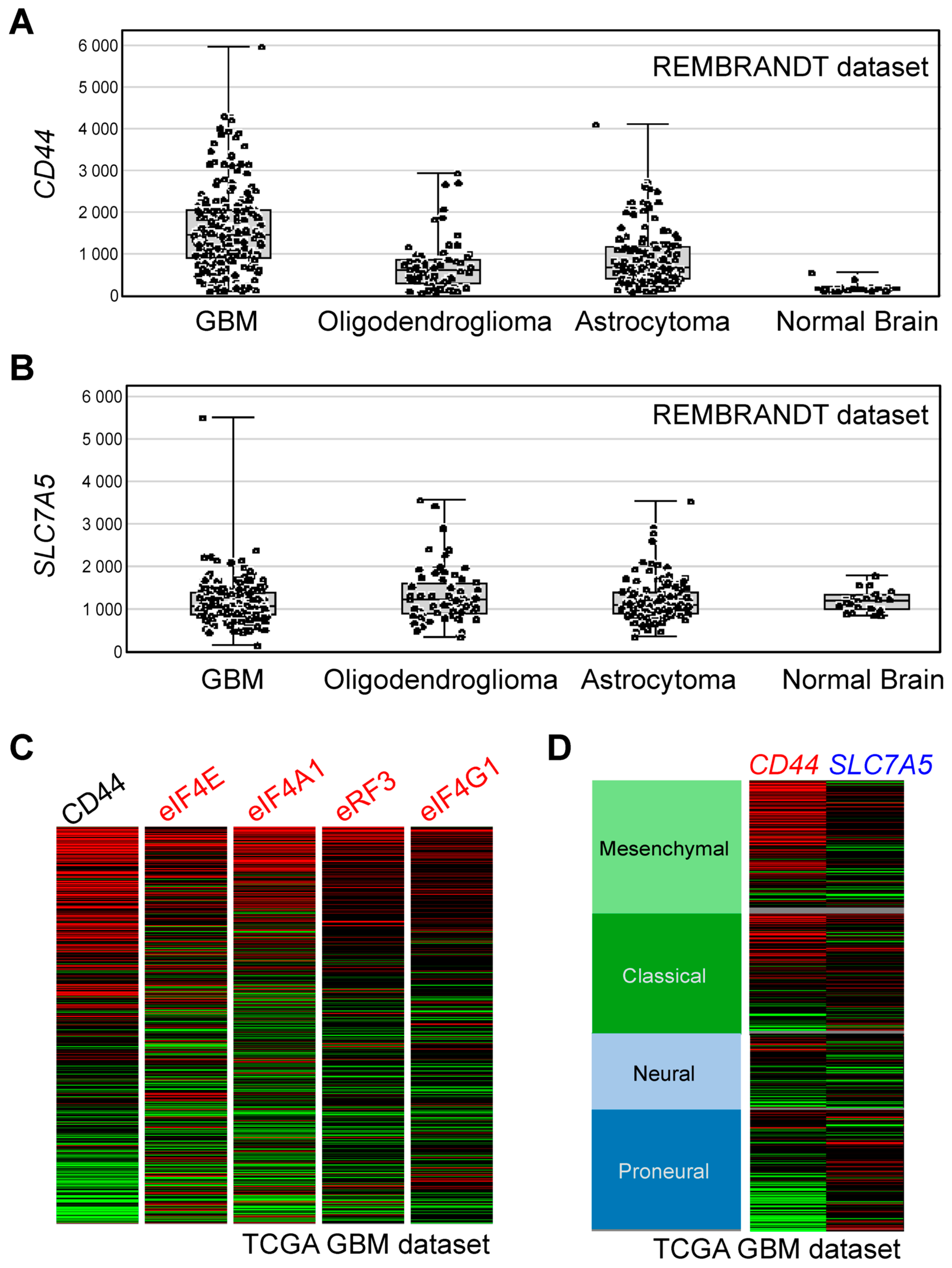 Cells 09 02149 g008 Cells 09 02149 g008
