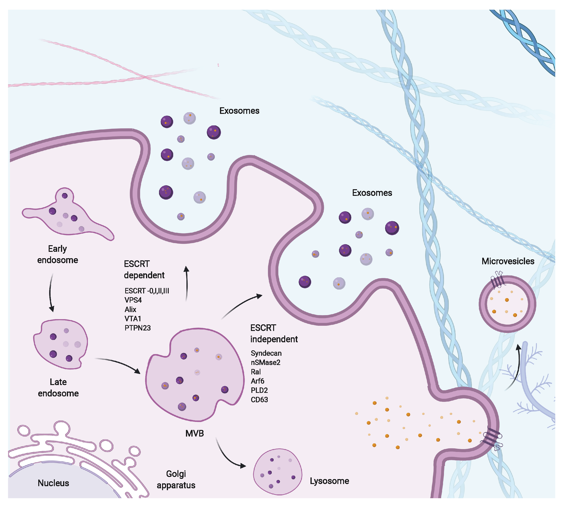 Cells 09 02182 g002 Cells 09 02182 g002