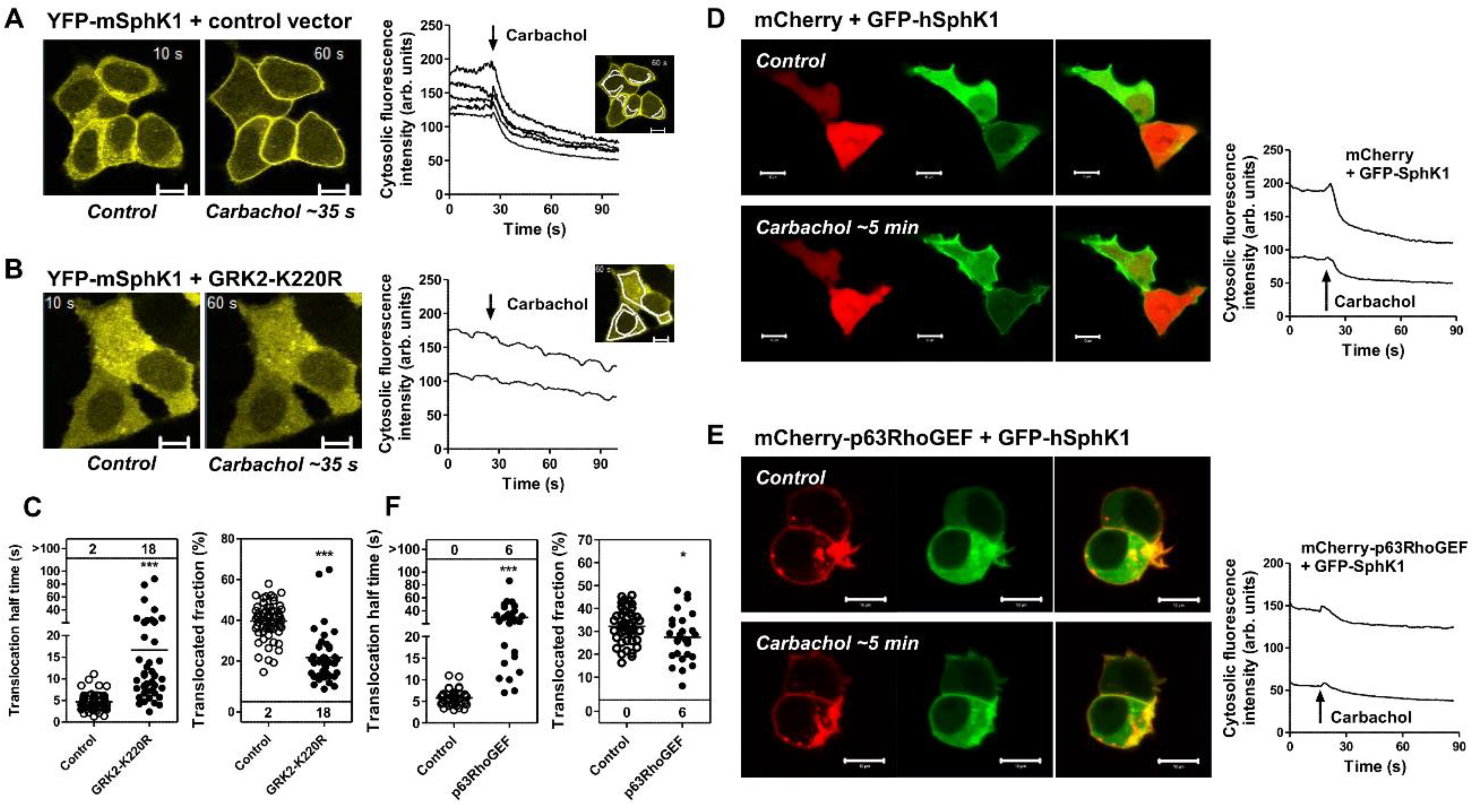 Cells 09 02201 g001 Cells 09 02201 g001