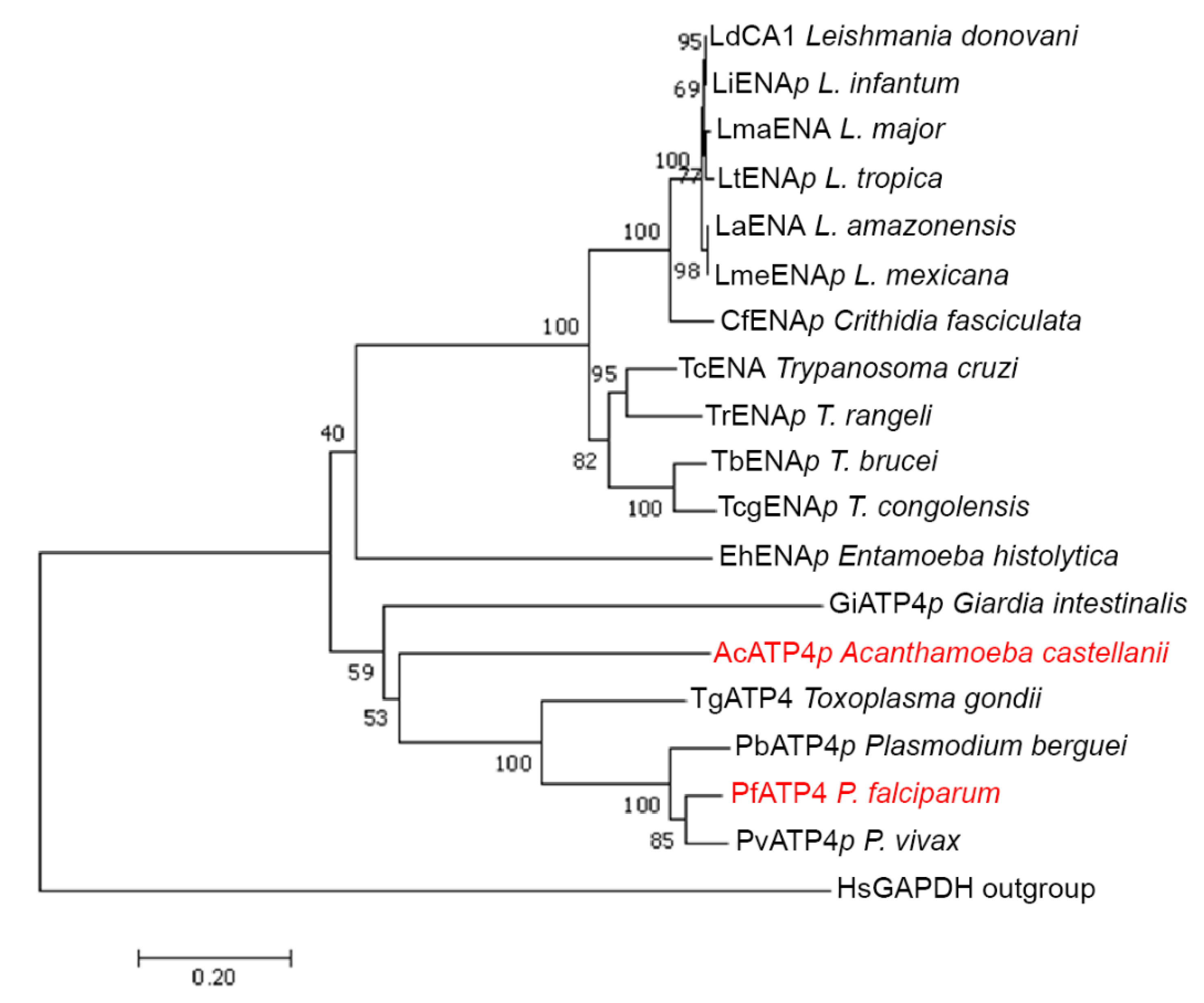 Cells 09 02225 g002 Cells 09 02225 g002