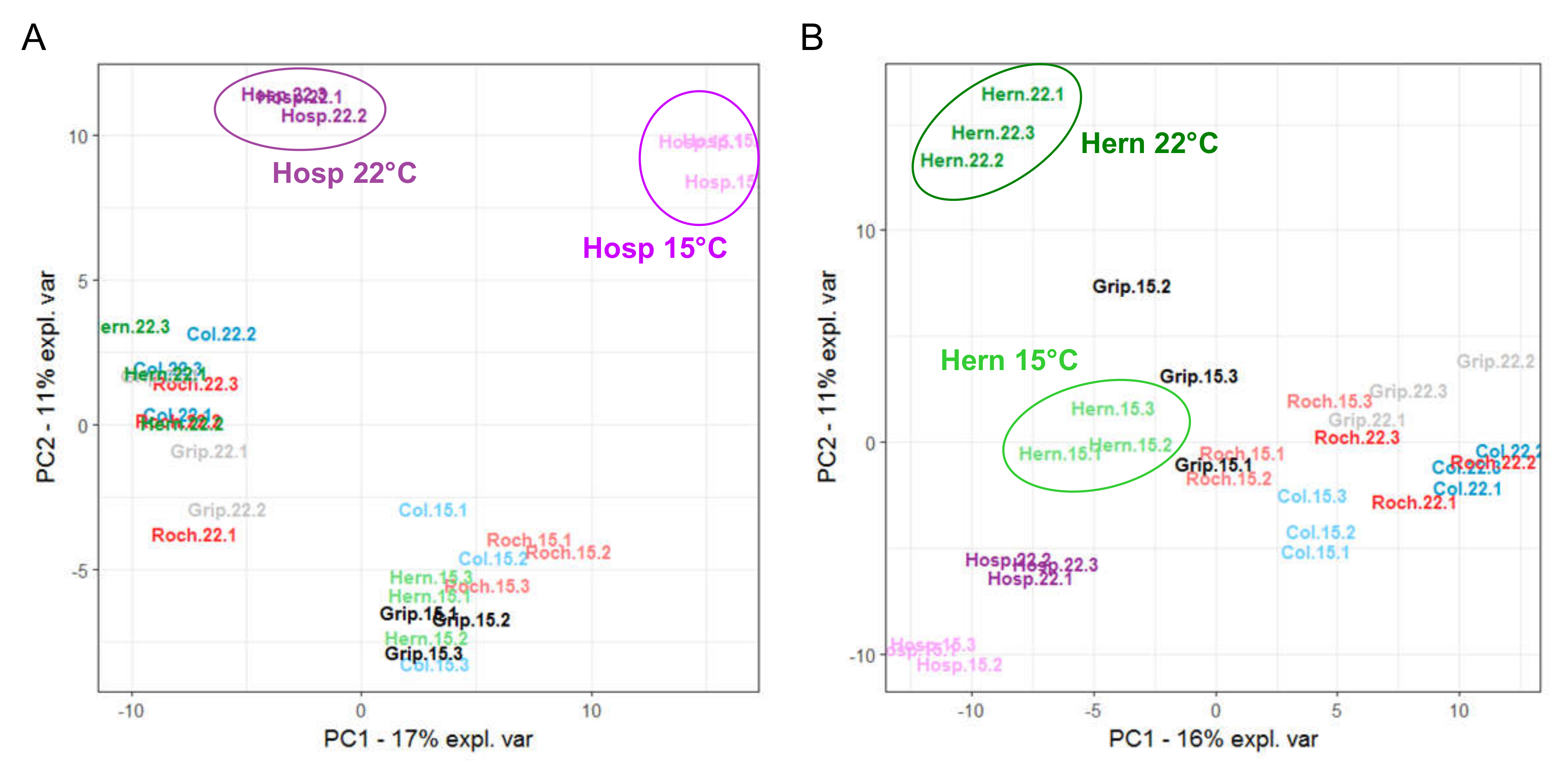 Cells 09 02249 g004 Cells 09 02249 g004