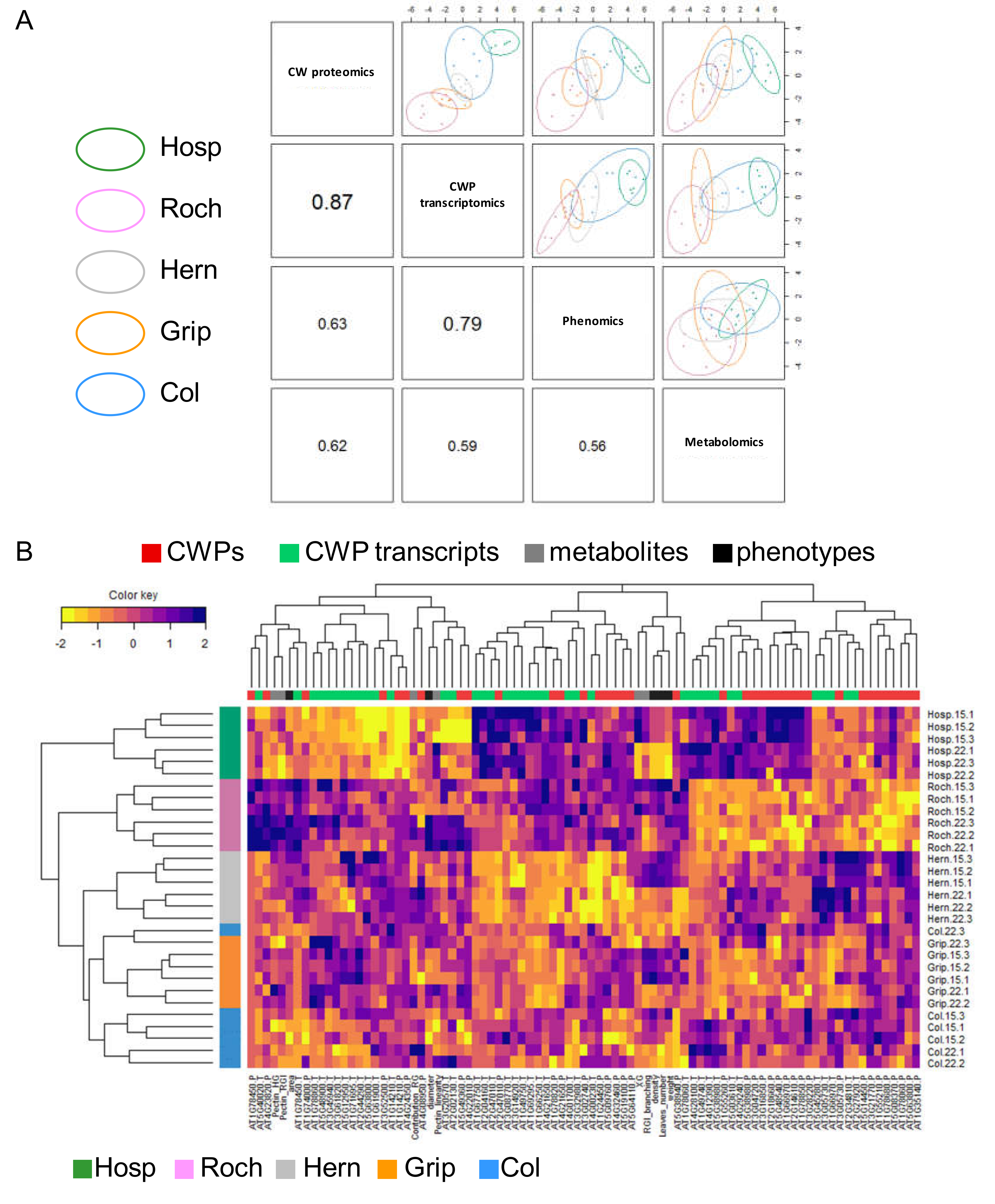 Cells 09 02249 g007 Cells 09 02249 g007