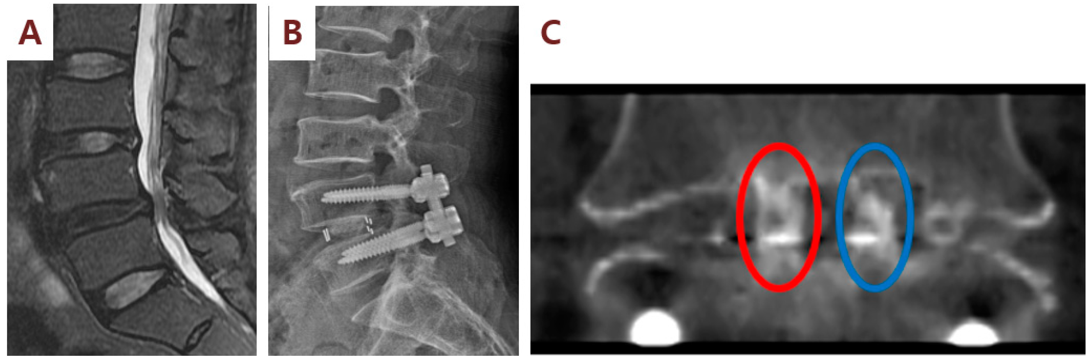 Cells 09 02250 g005 Cells 09 02250 g005