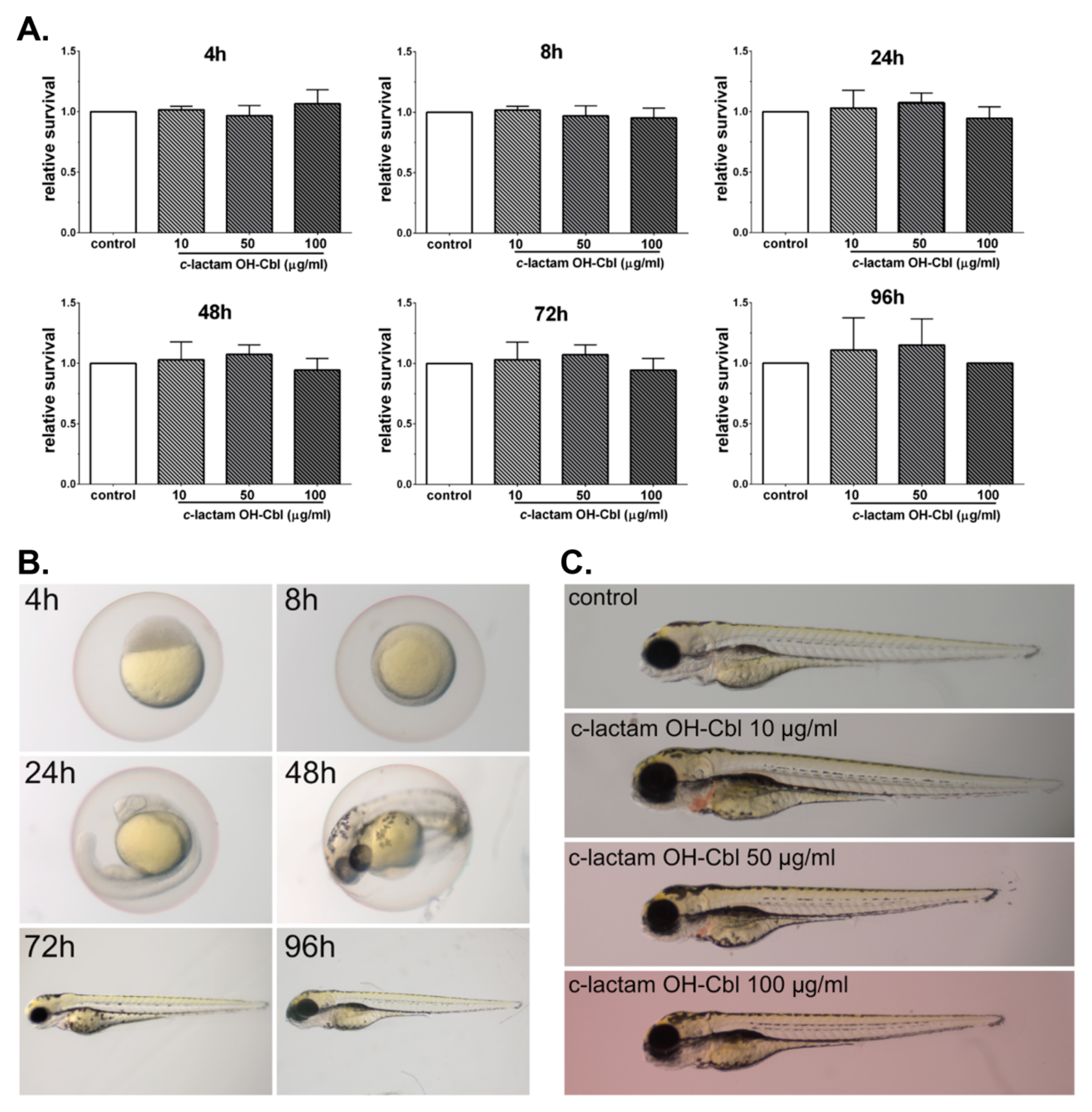 Cells 09 02261 g004 Cells 09 02261 g004