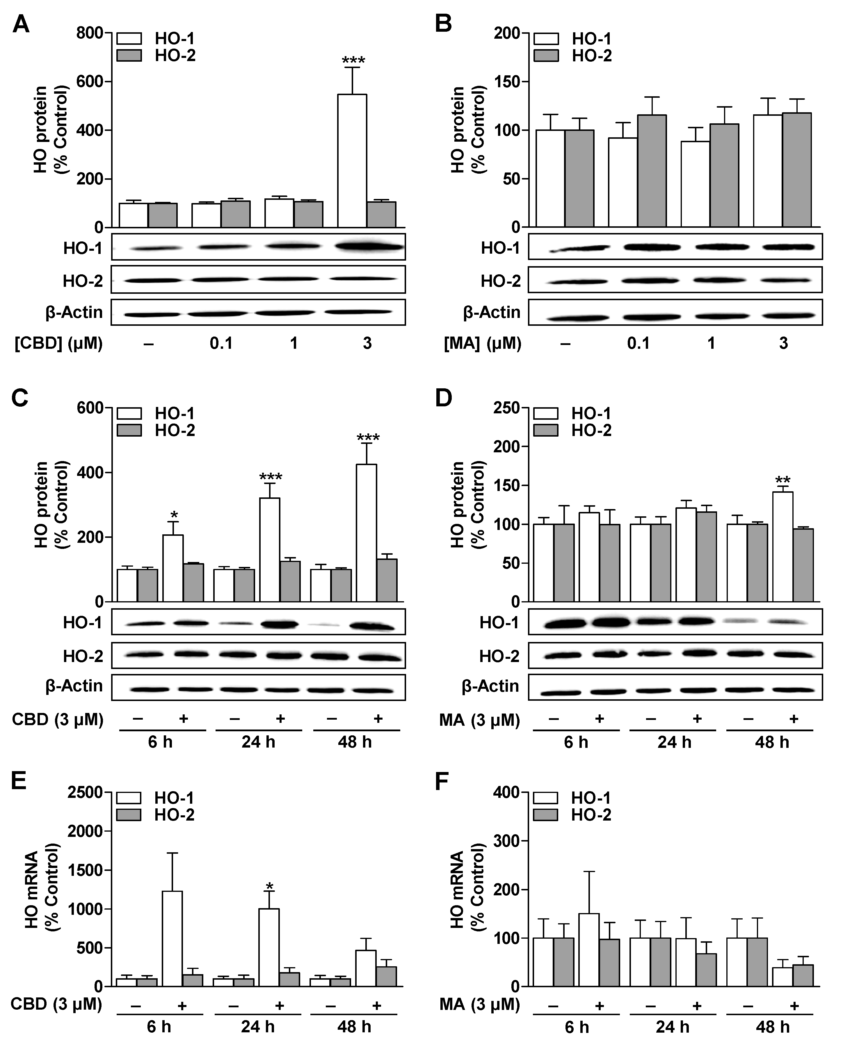 Cells 09 02298 g001 Cells 09 02298 g001