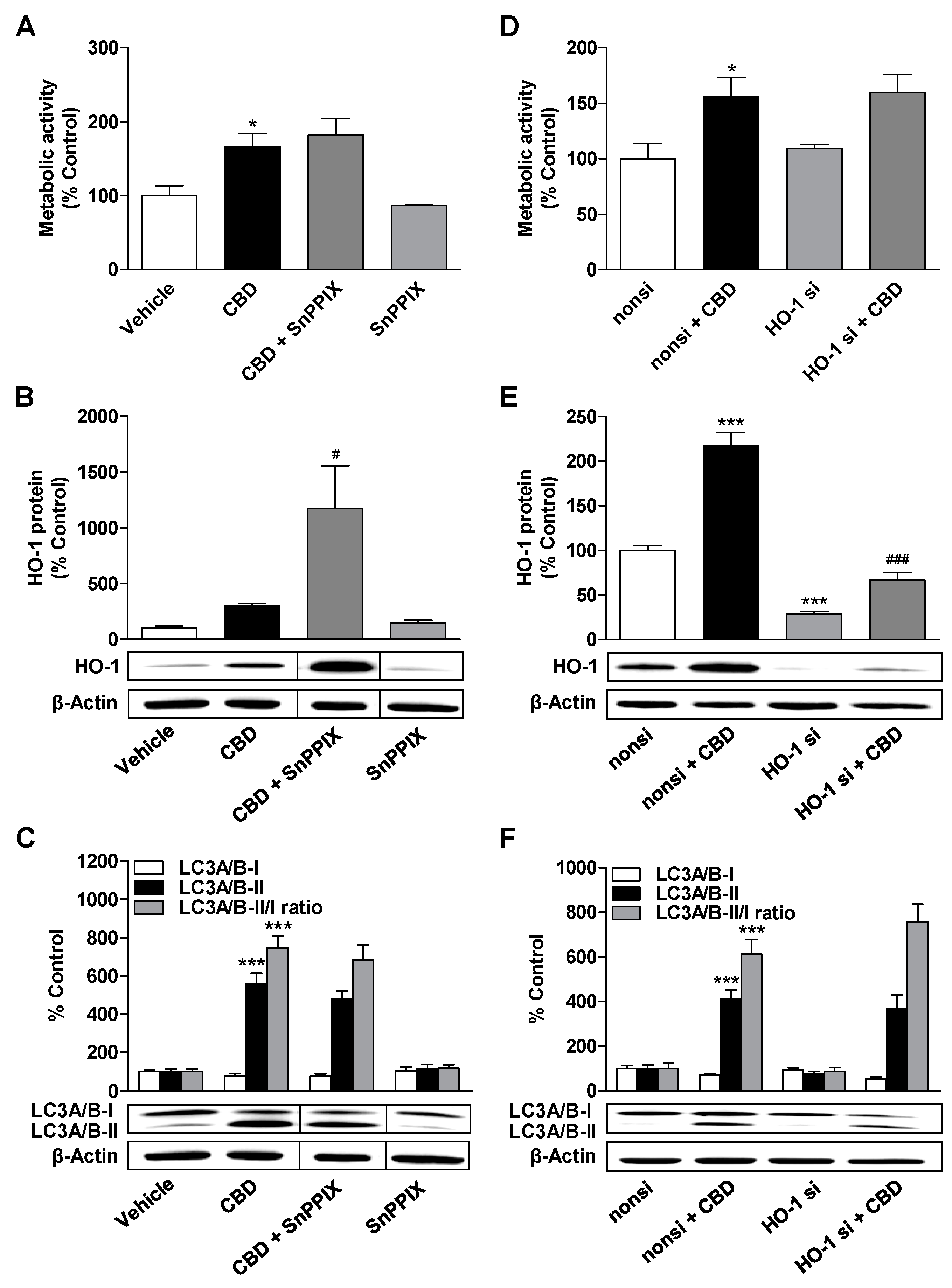 Cells 09 02298 g004 Cells 09 02298 g004