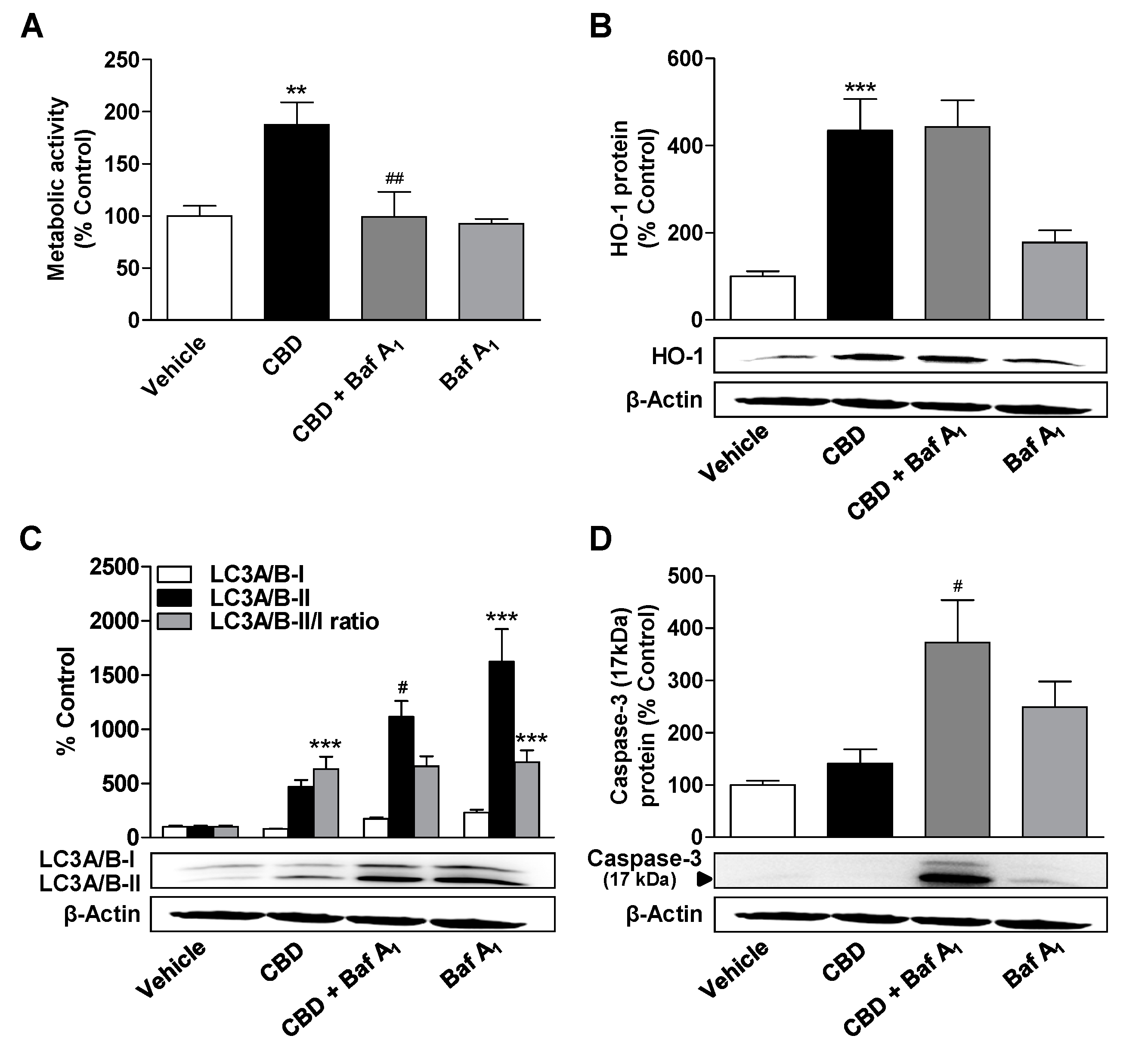 Cells 09 02298 g005 Cells 09 02298 g005