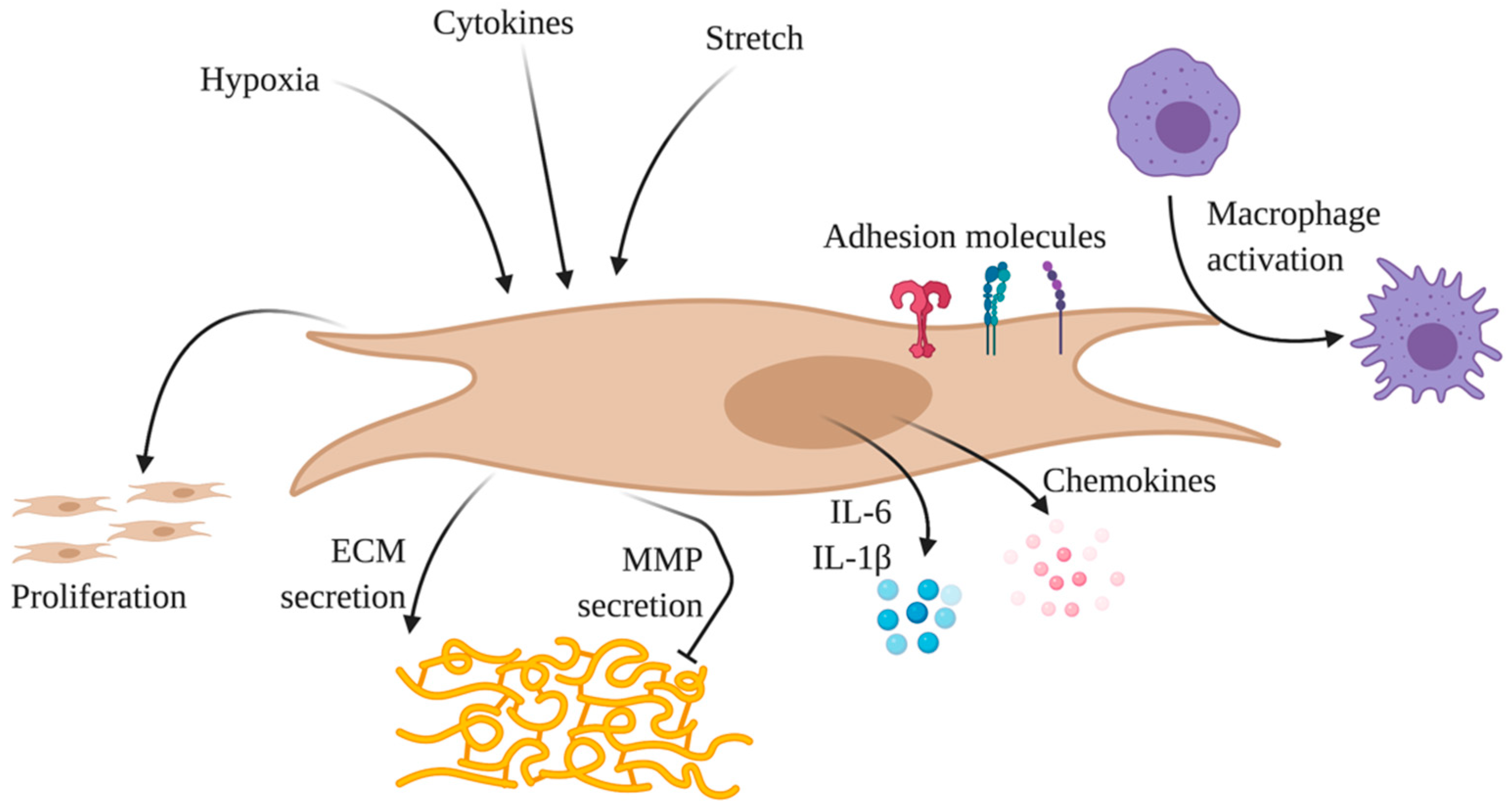 Cells 09 02338 g003 Cells 09 02338 g003