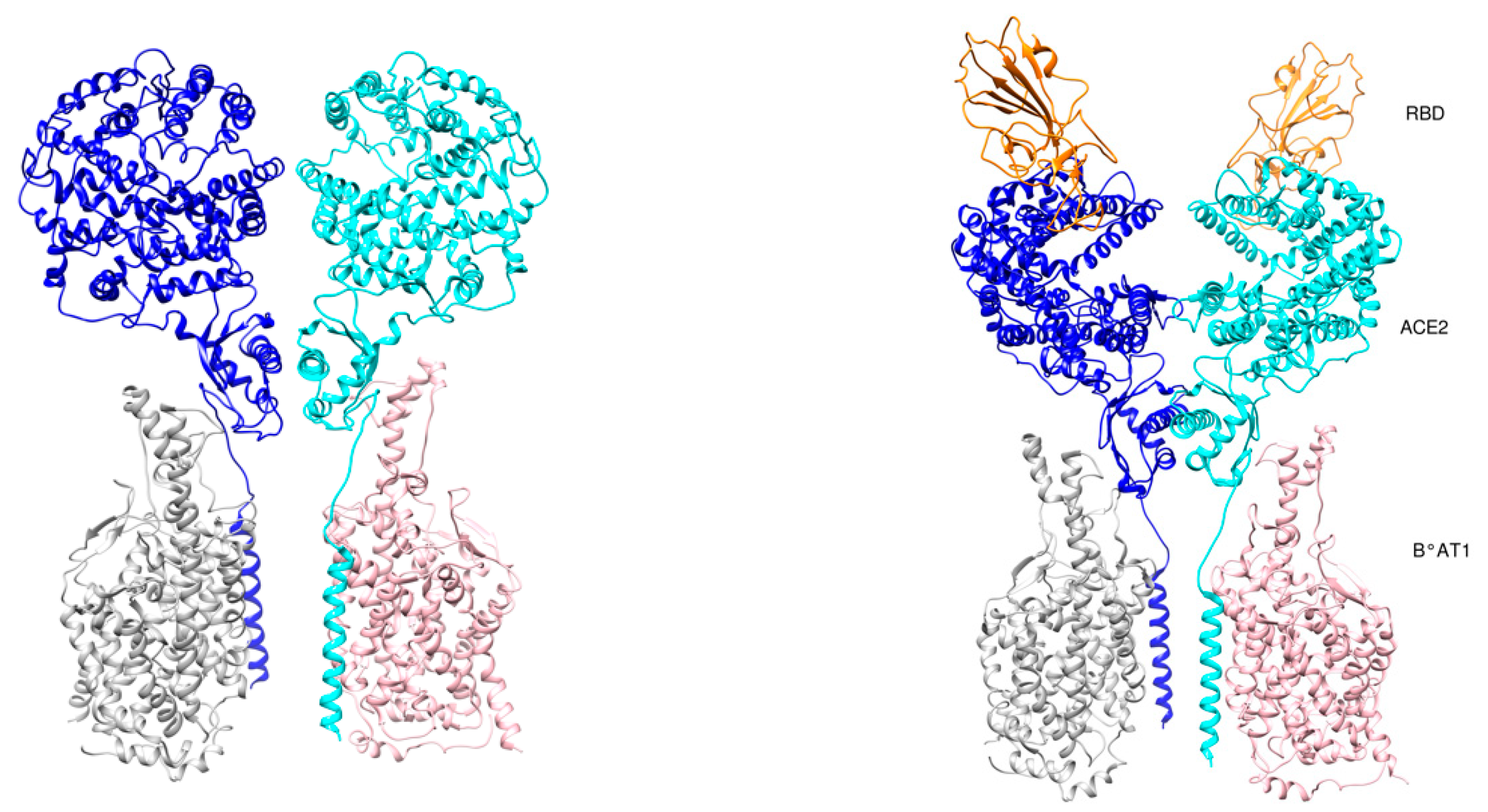 Cells 09 02343 g004 Cells 09 02343 g004