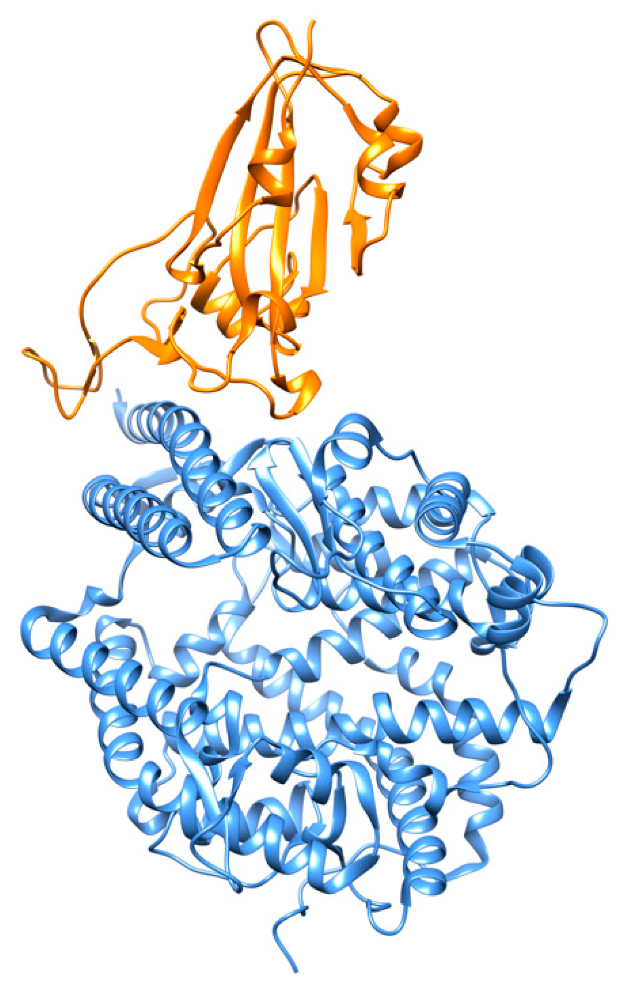 Cells 09 02343 g005 Cells 09 02343 g005