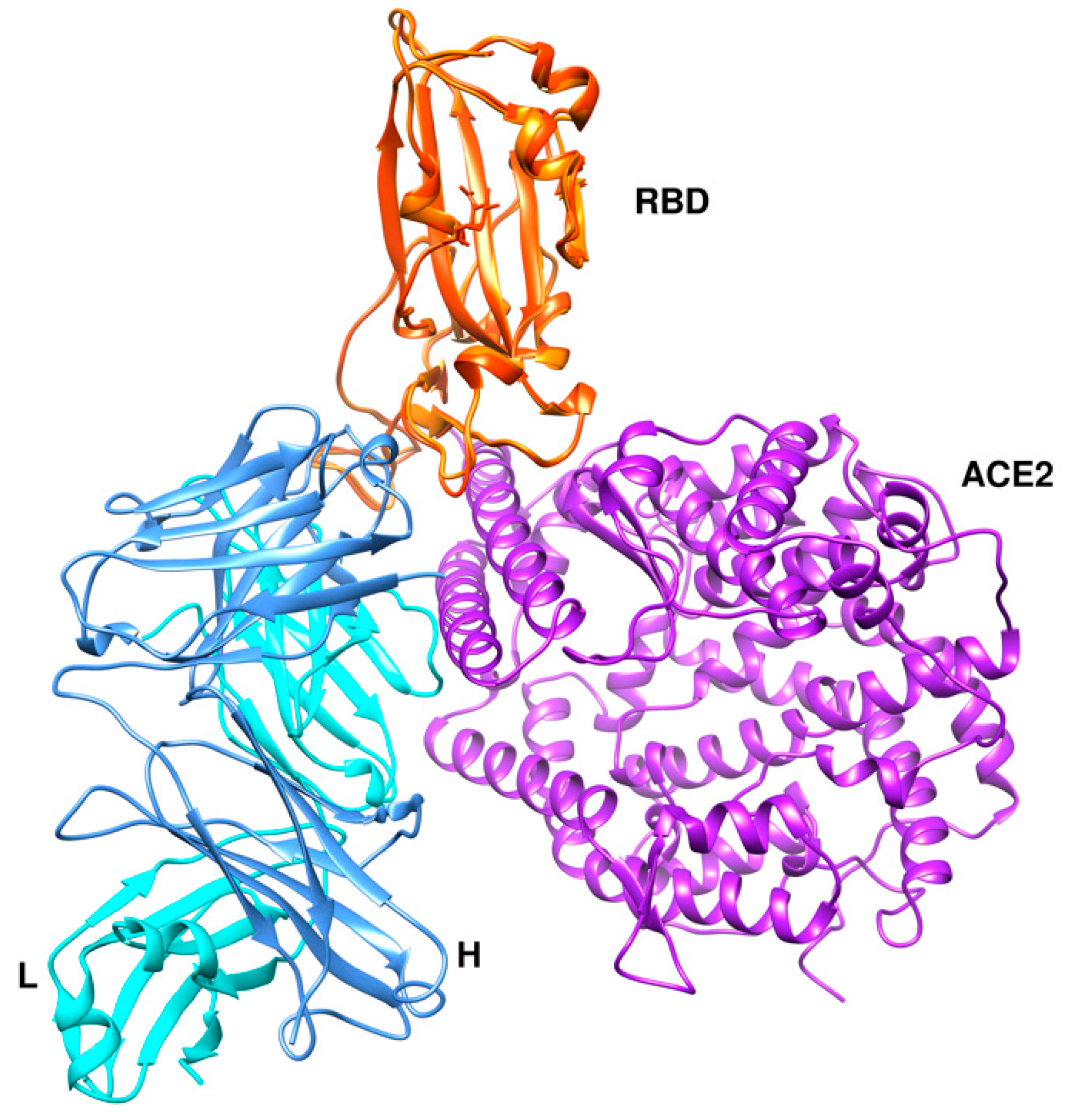 Cells 09 02343 g009 Cells 09 02343 g009