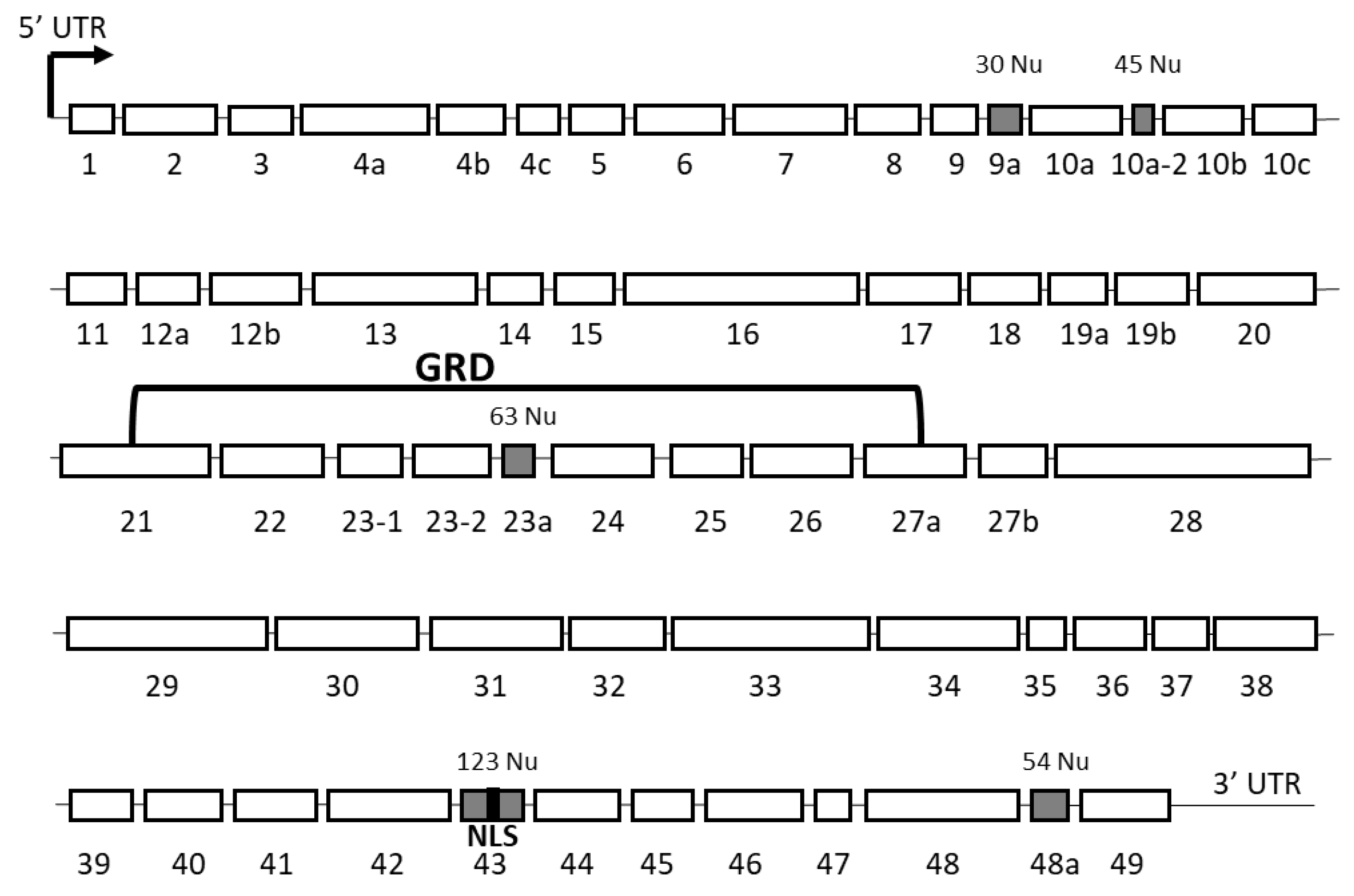 Cells 09 02365 g002