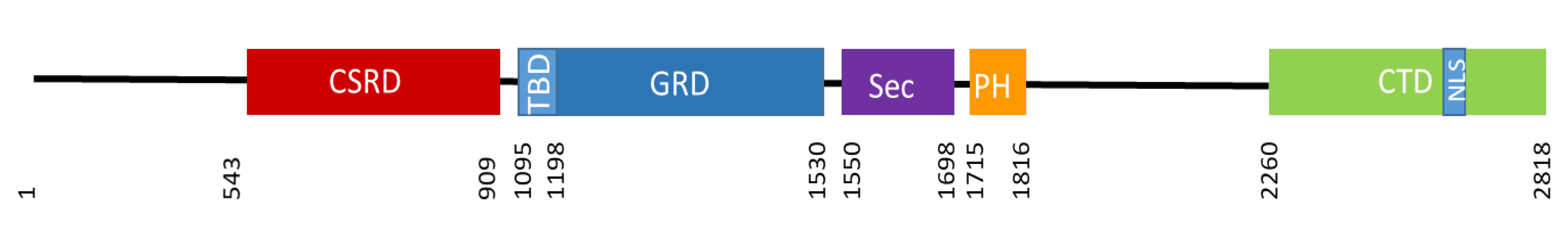 Cells 09 02365 g003