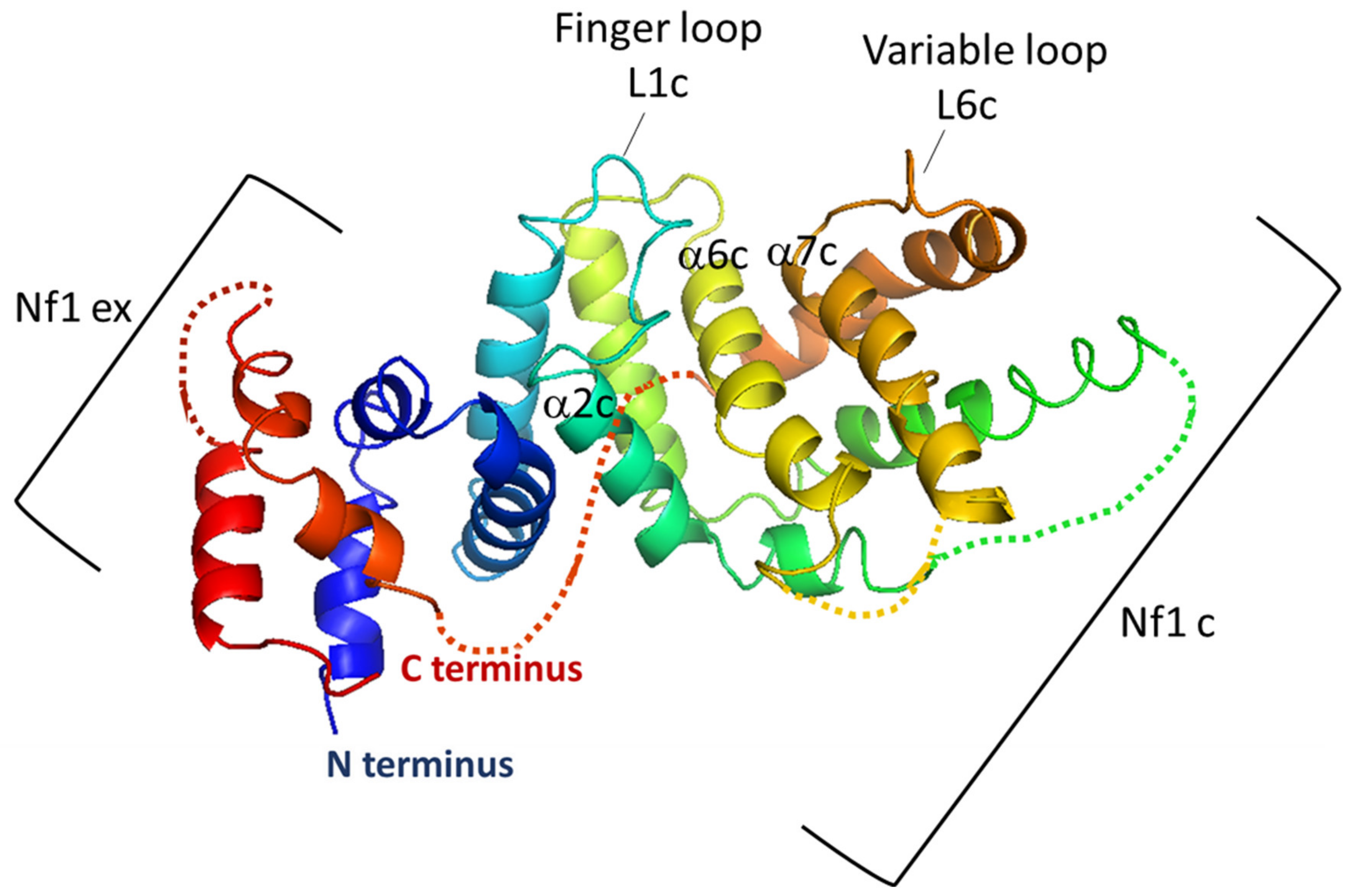 Cells 09 02365 g004