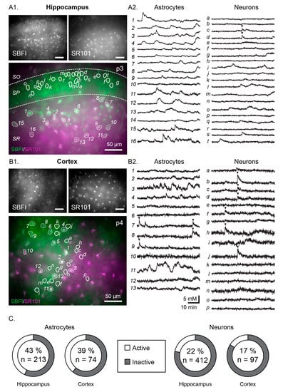 Cells 09 02380 g001
