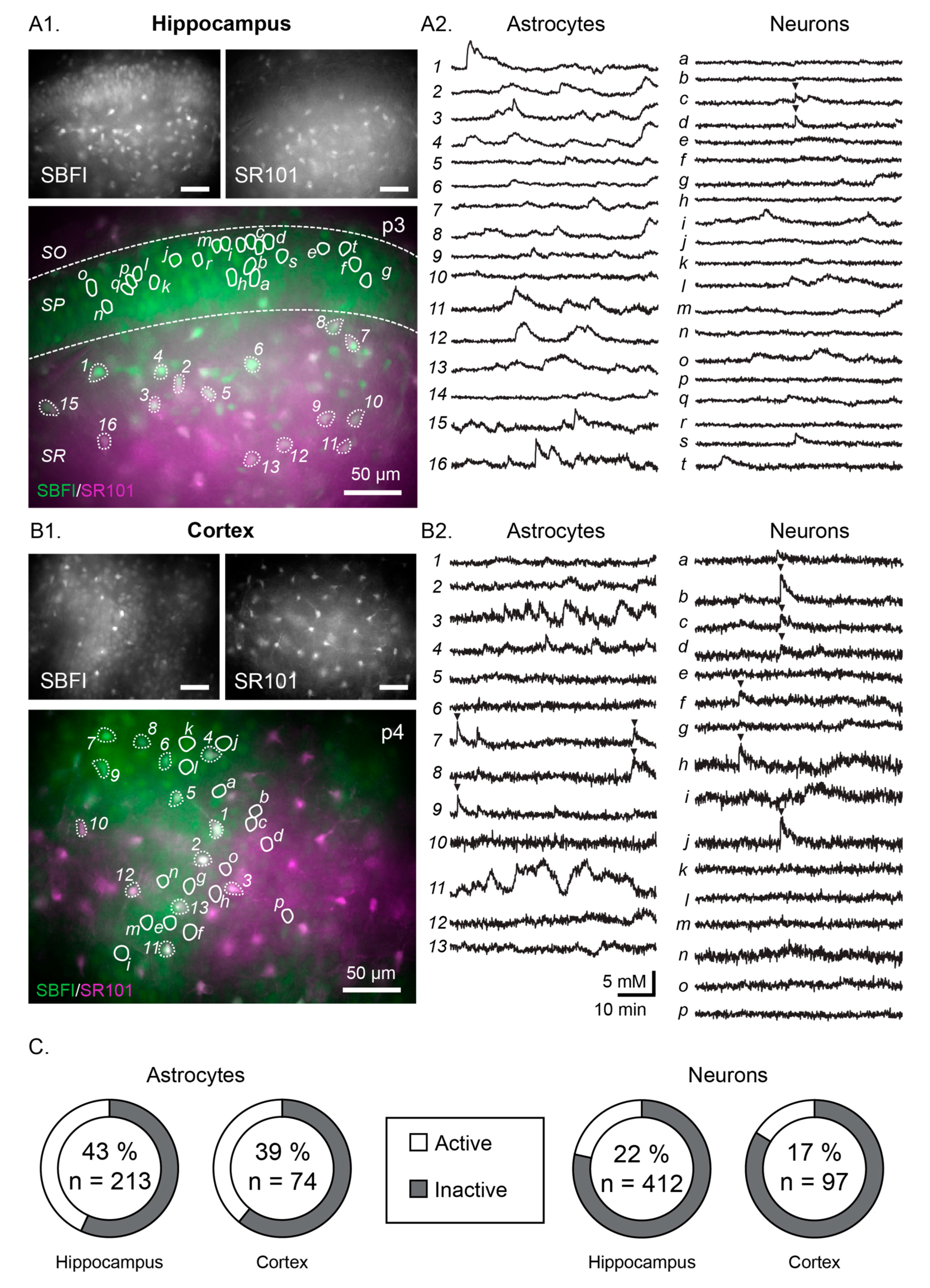 Cells 09 02380 g001