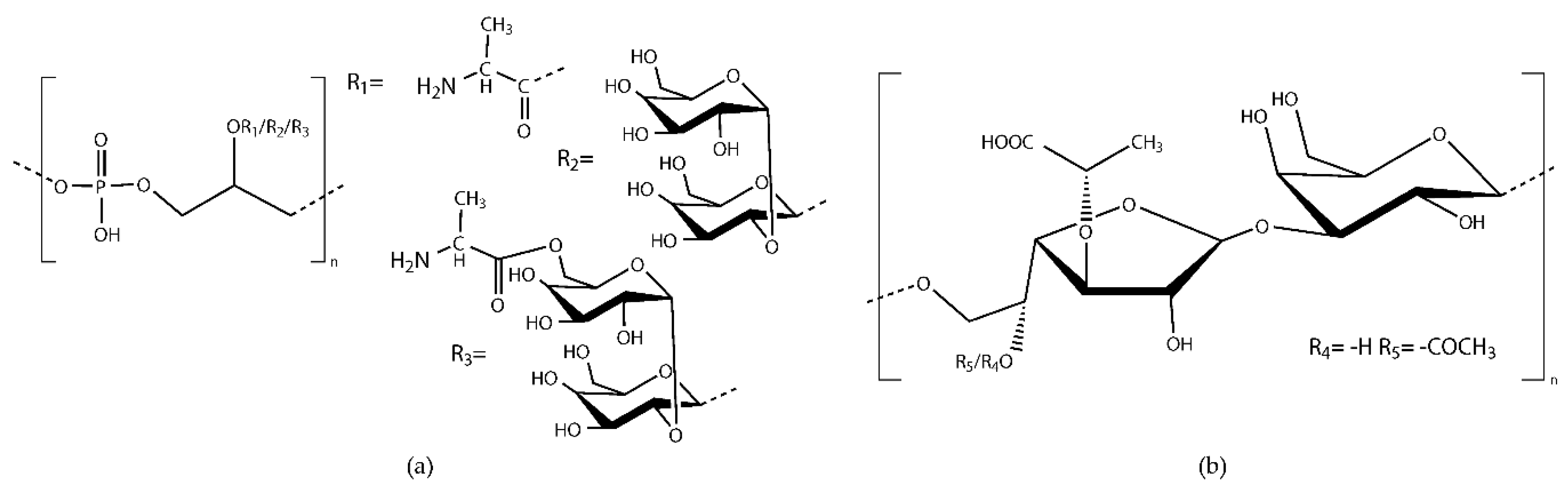 Cells 09 02397 g001 Cells 09 02397 g001
