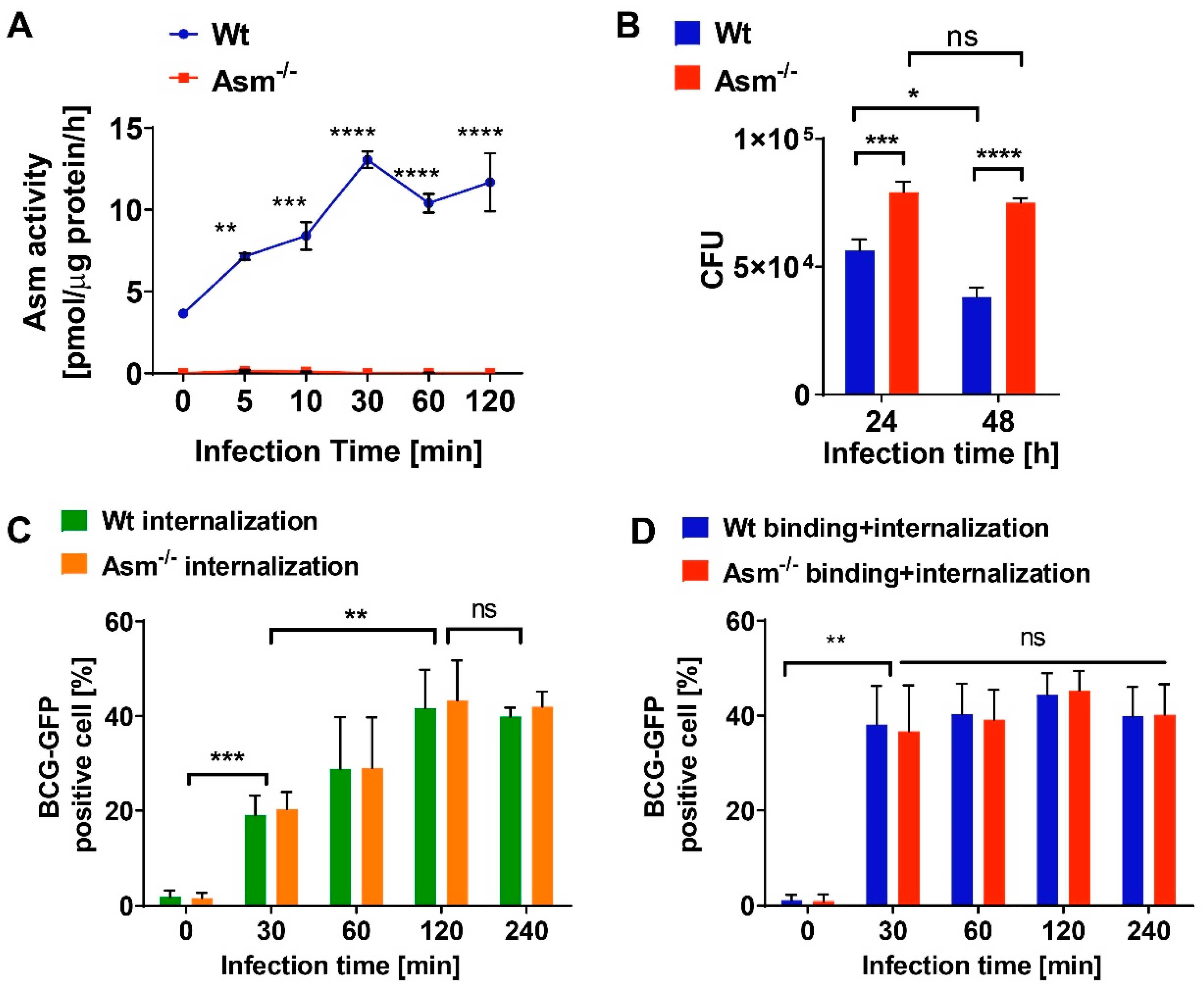 Cells 09 02406 g002 Cells 09 02406 g002