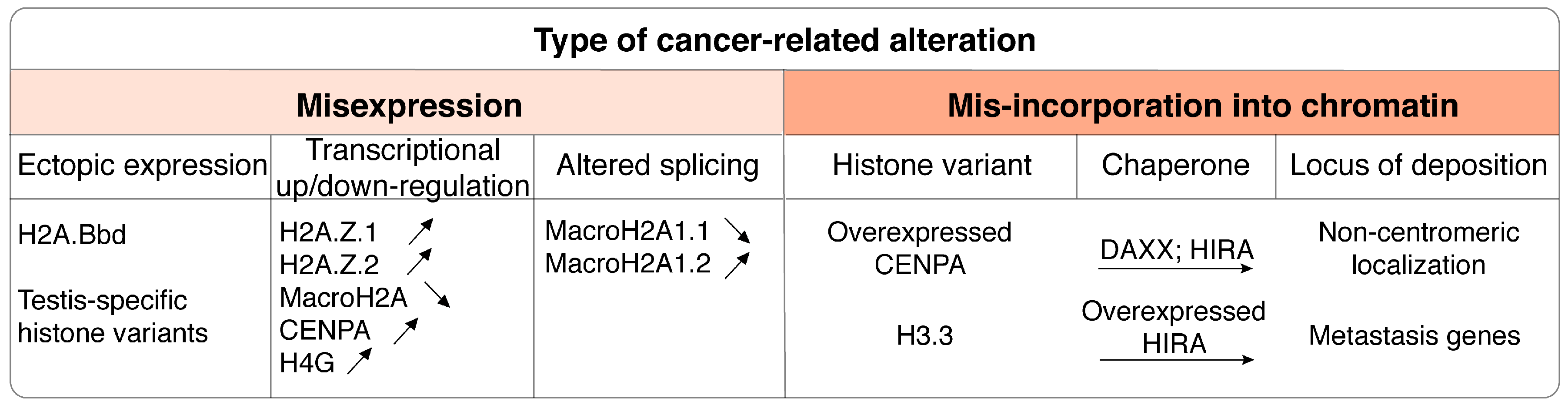 Cells 09 02424 g006 Cells 09 02424 g006