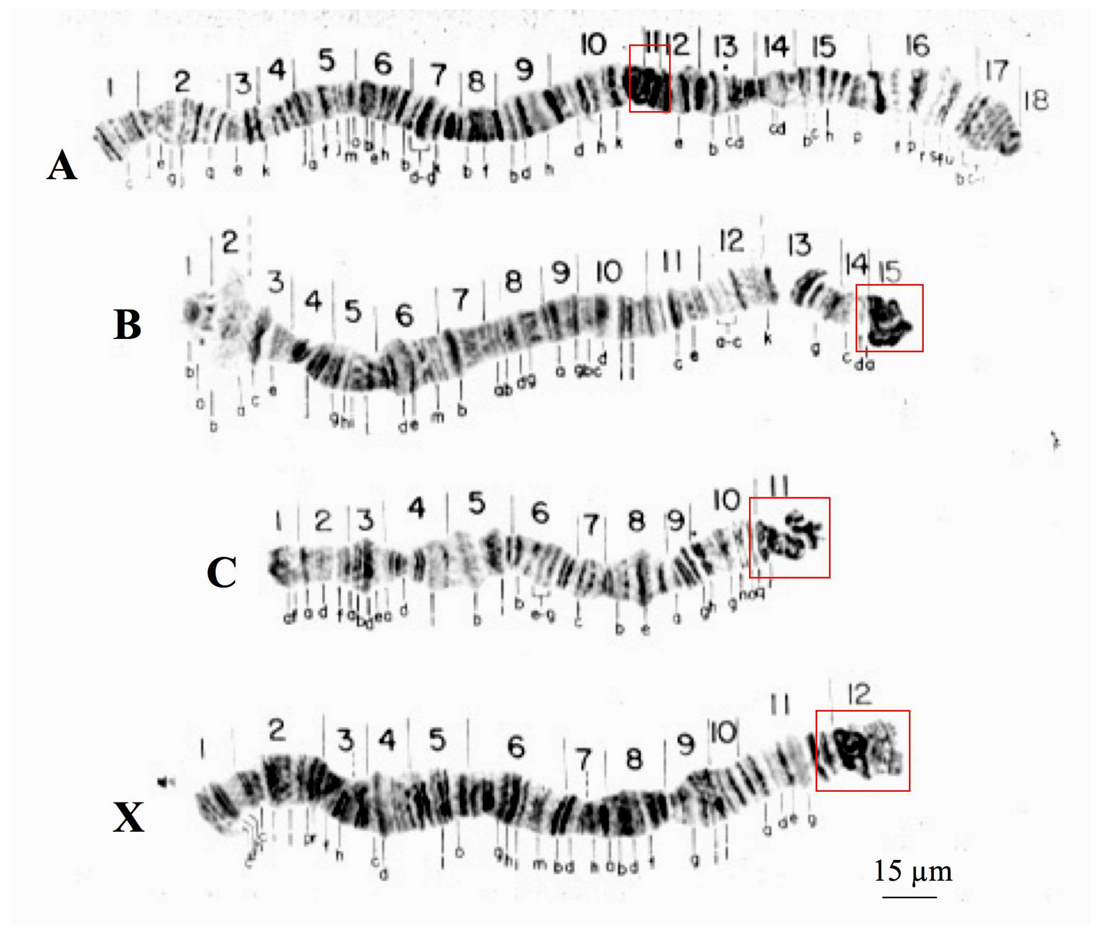 Cells 09 02425 g001 Cells 09 02425 g001