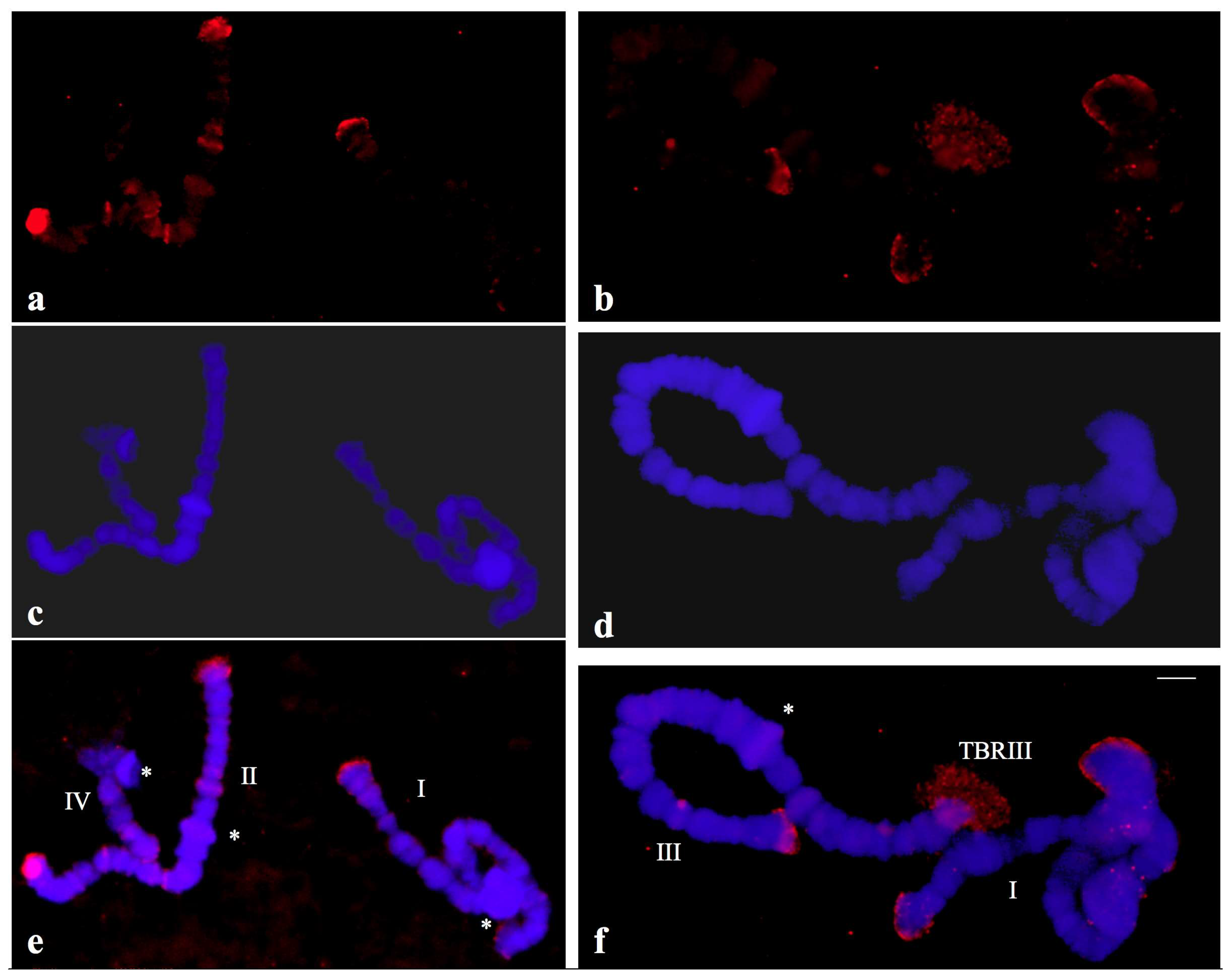 Cells 09 02425 g008 Cells 09 02425 g008