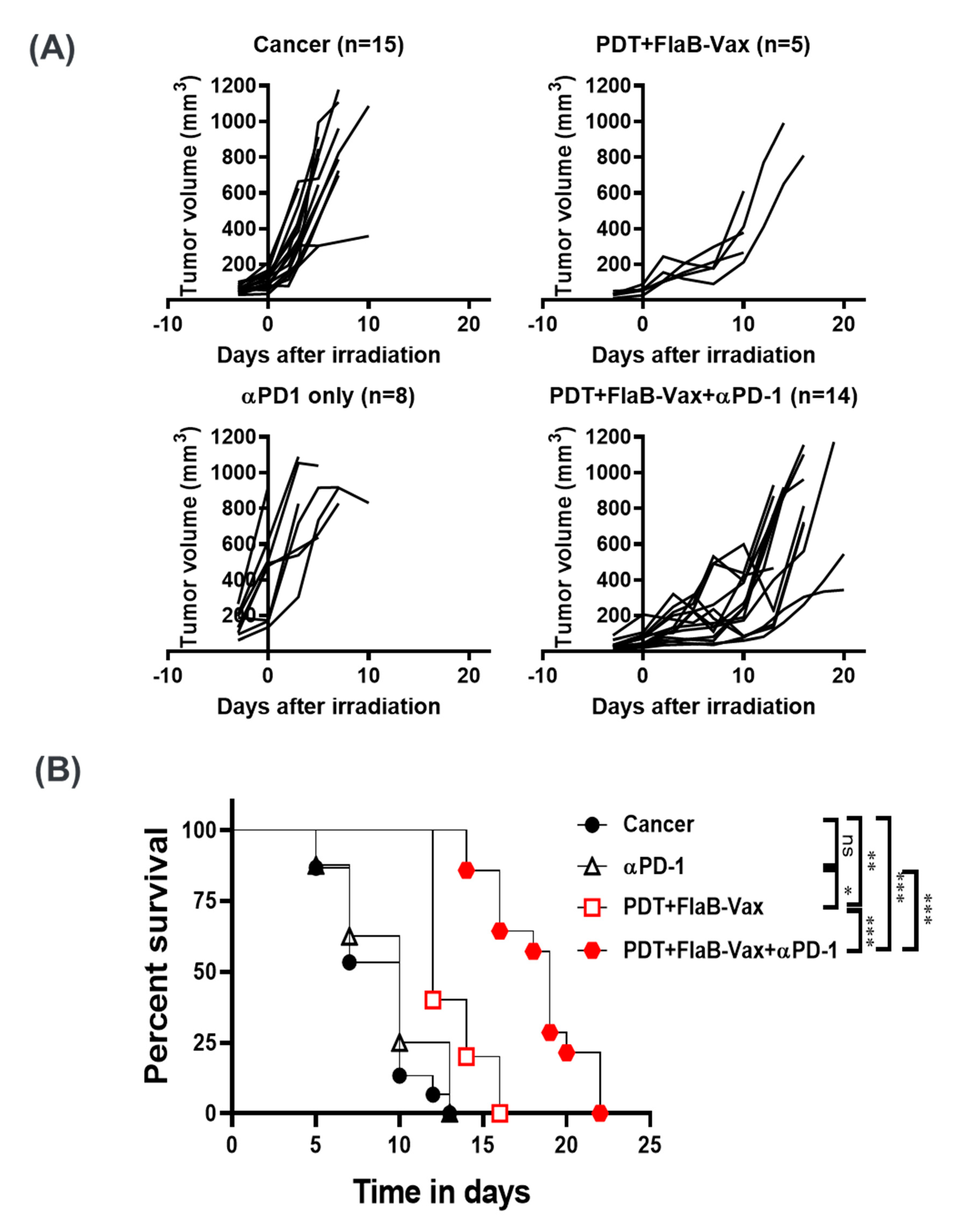Cells 09 02432 g005a