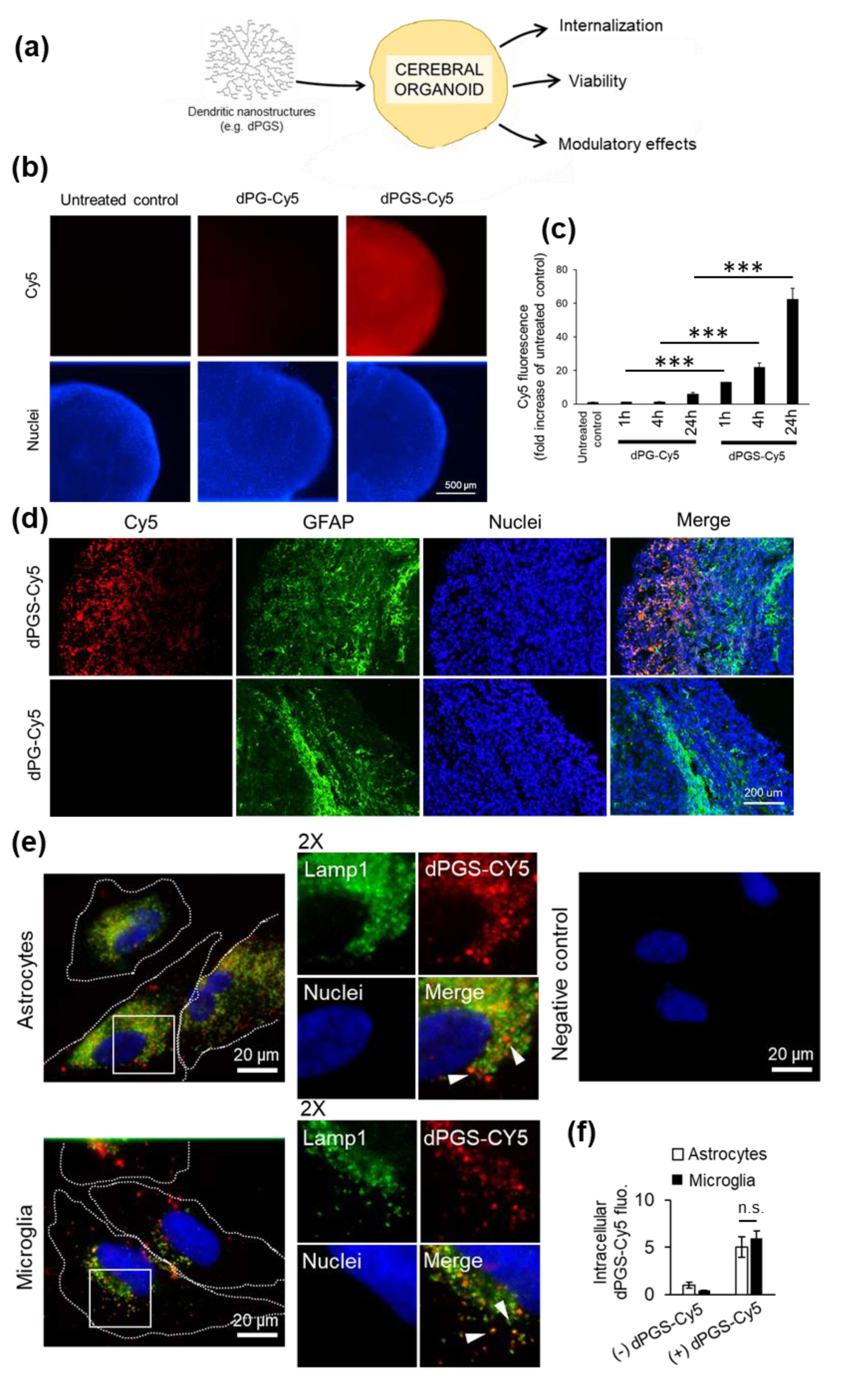 Cells 09 02434 g001 Cells 09 02434 g001