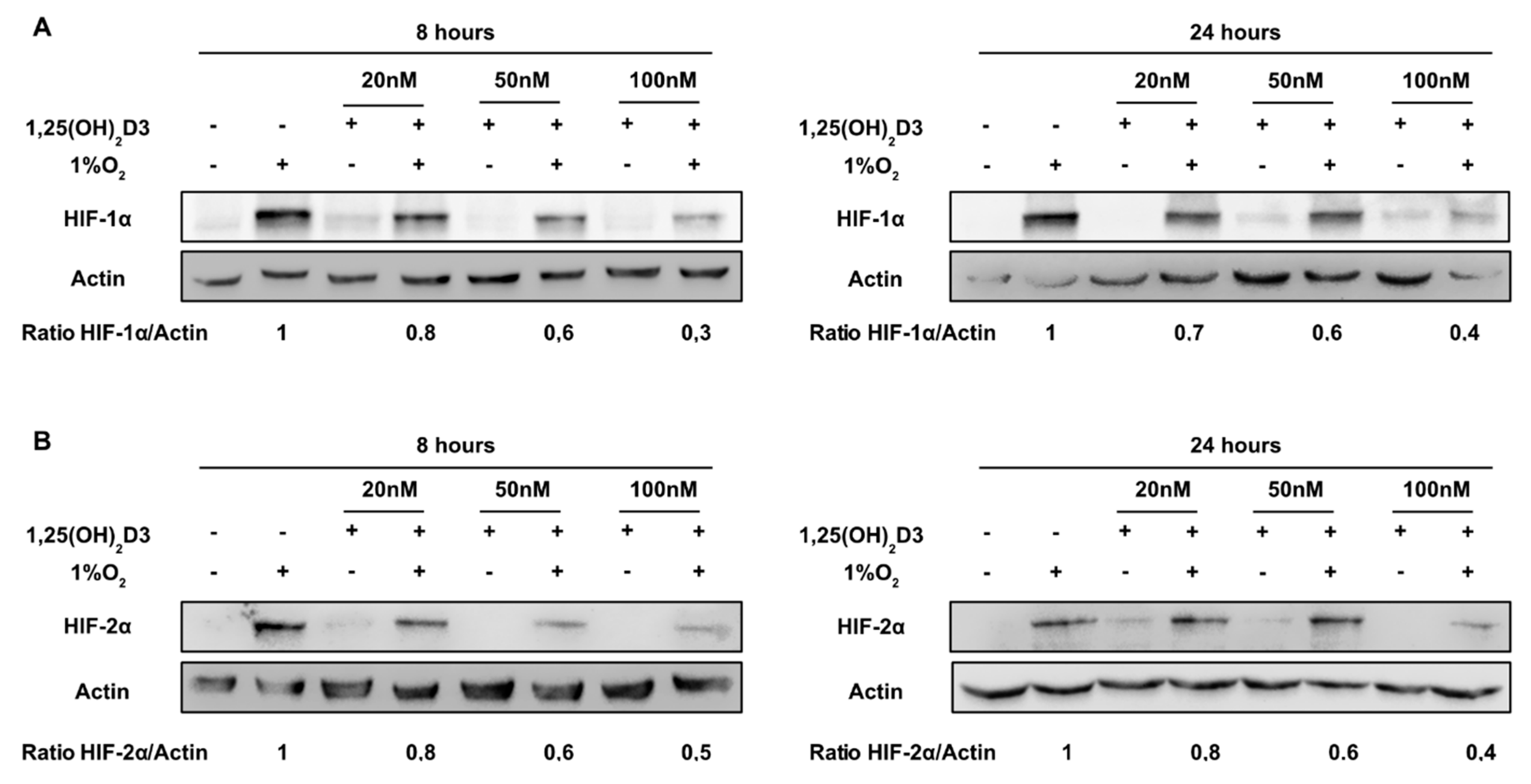 Cells 09 02440 g001