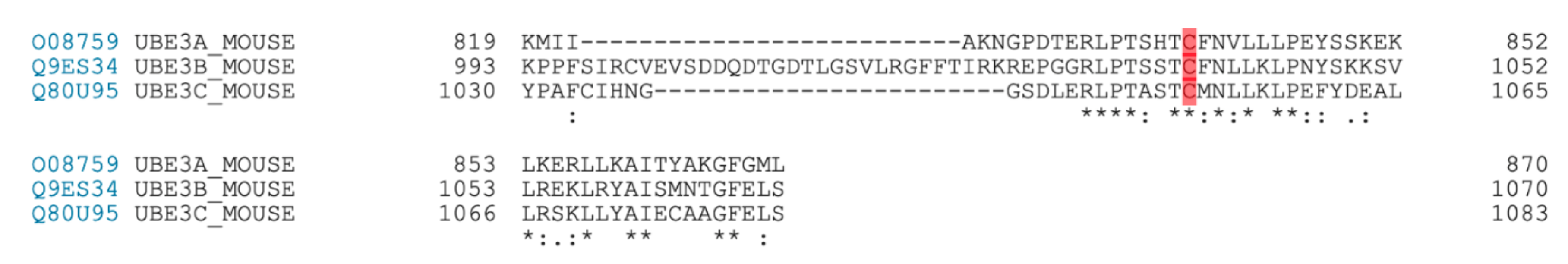 Cells 09 02455 g001 Cells 09 02455 g001