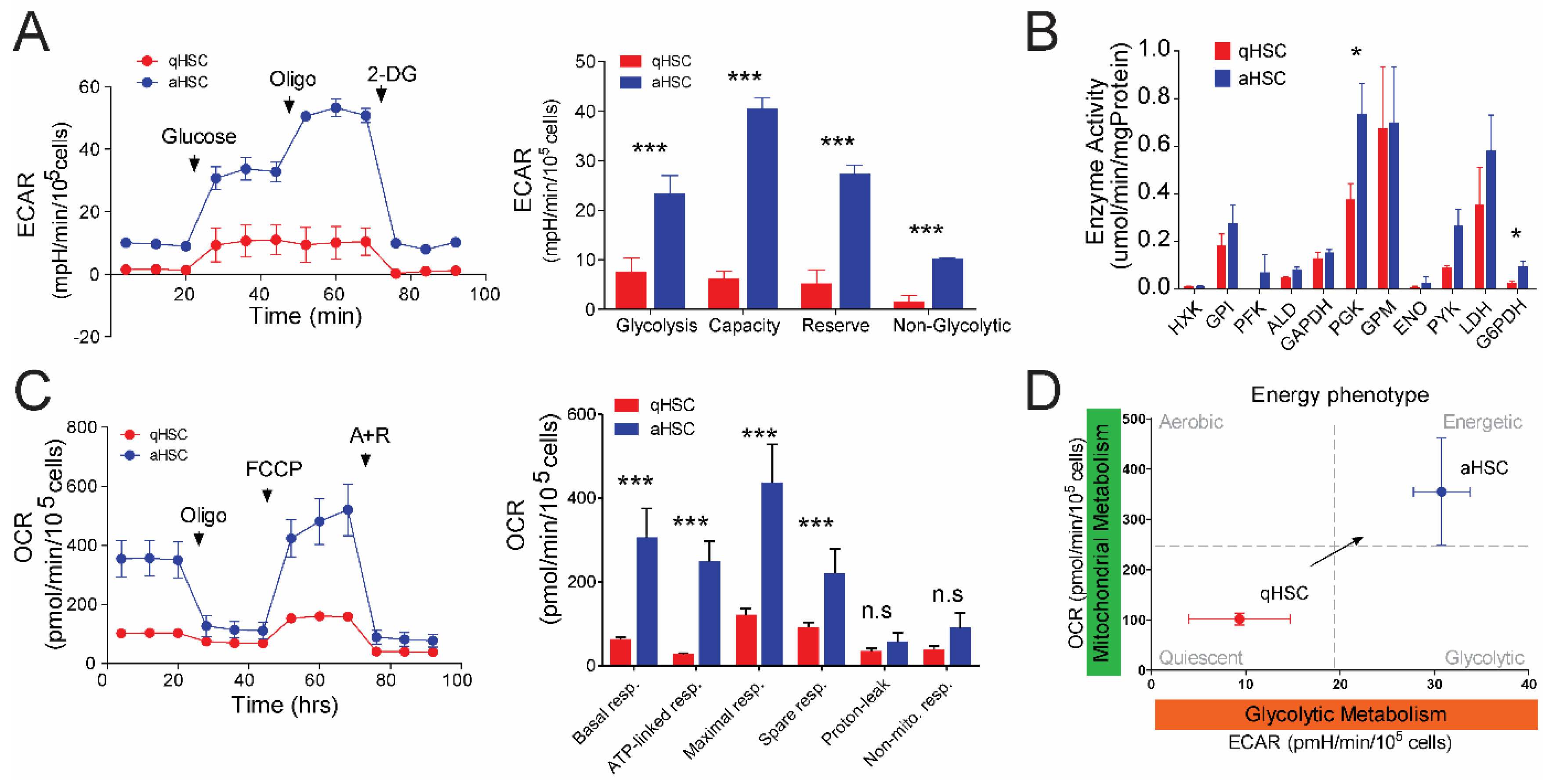 Cells 09 02456 g001 Cells 09 02456 g001