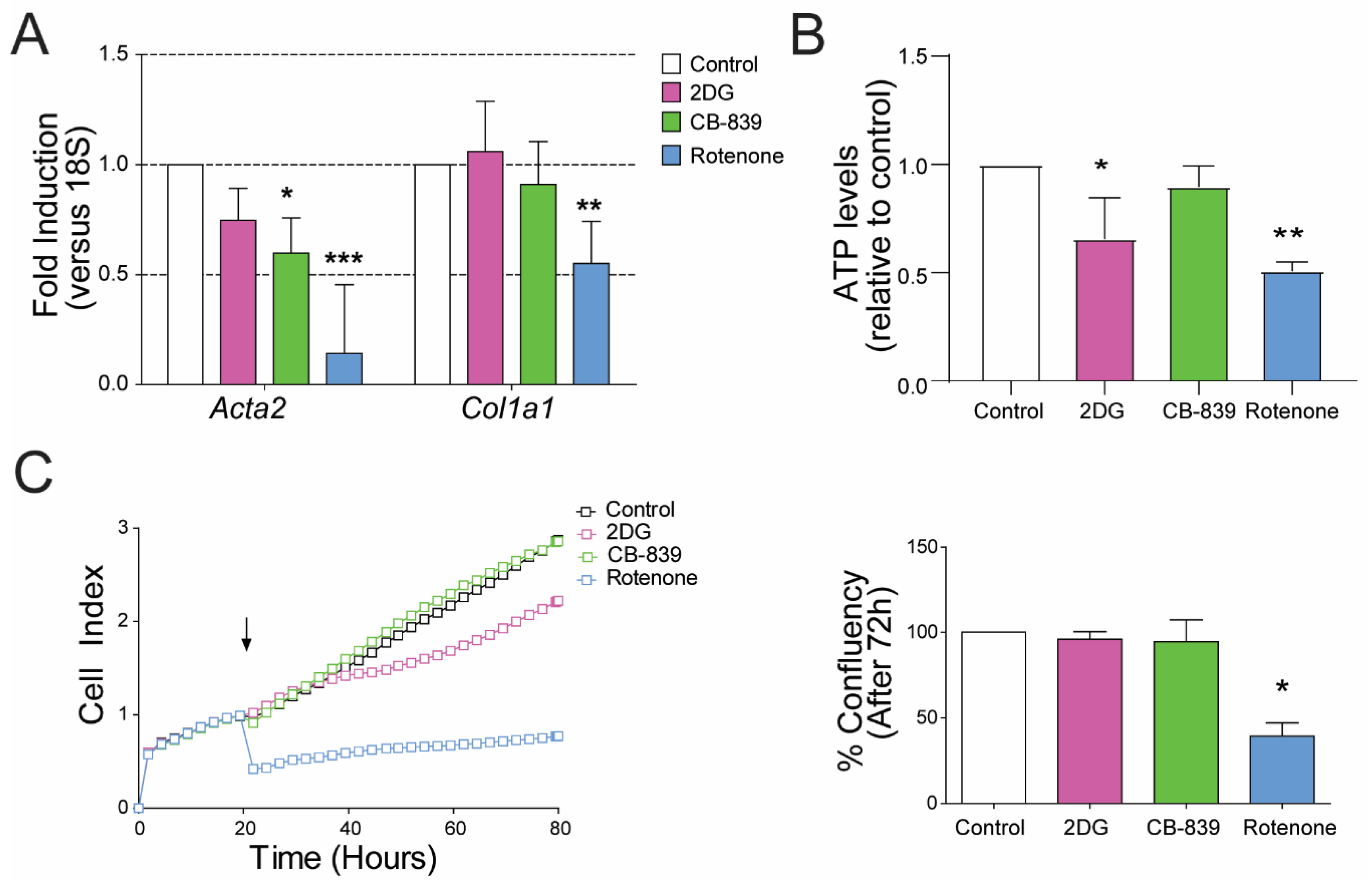 Cells 09 02456 g004 Cells 09 02456 g004