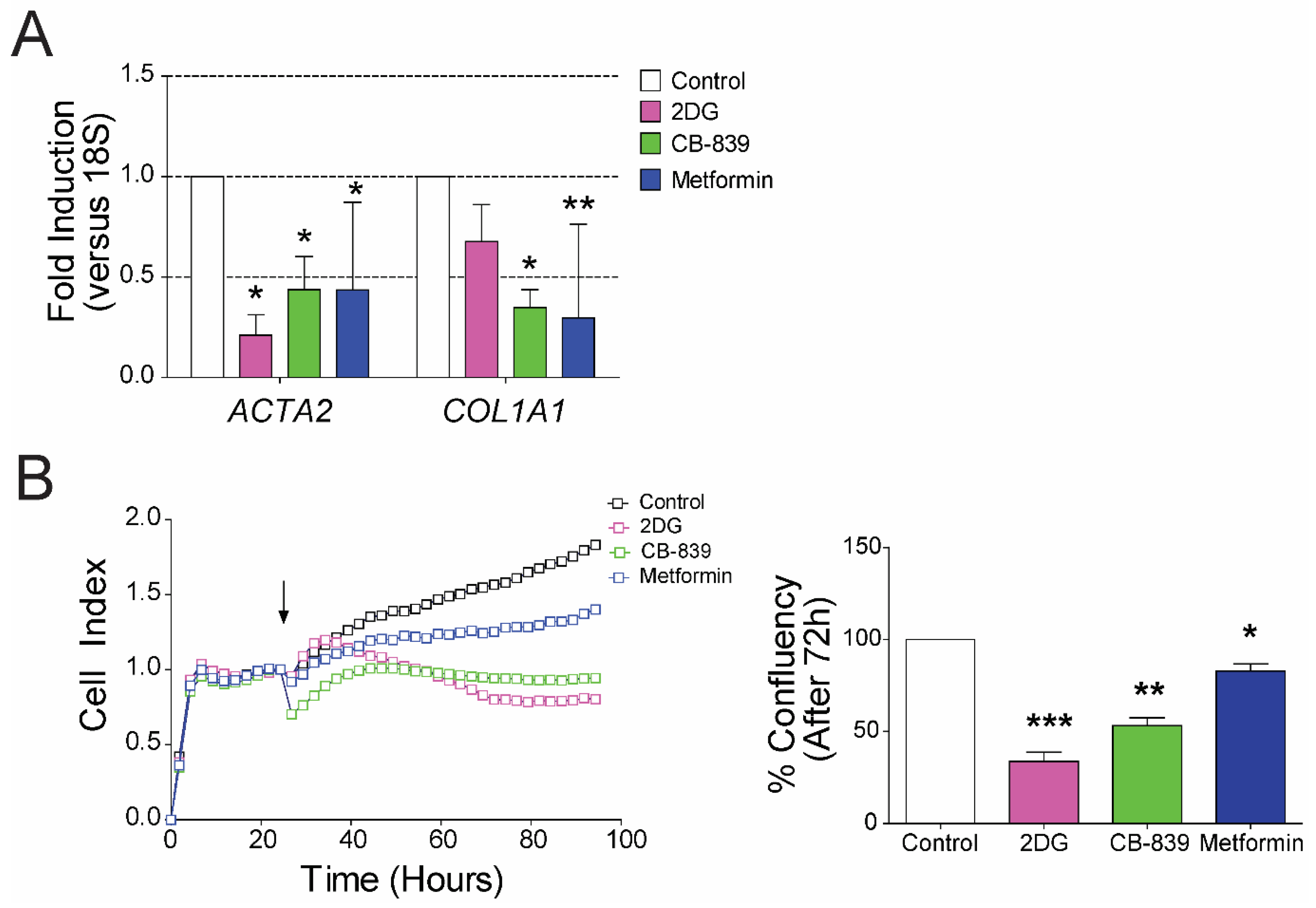 Cells 09 02456 g005 Cells 09 02456 g005