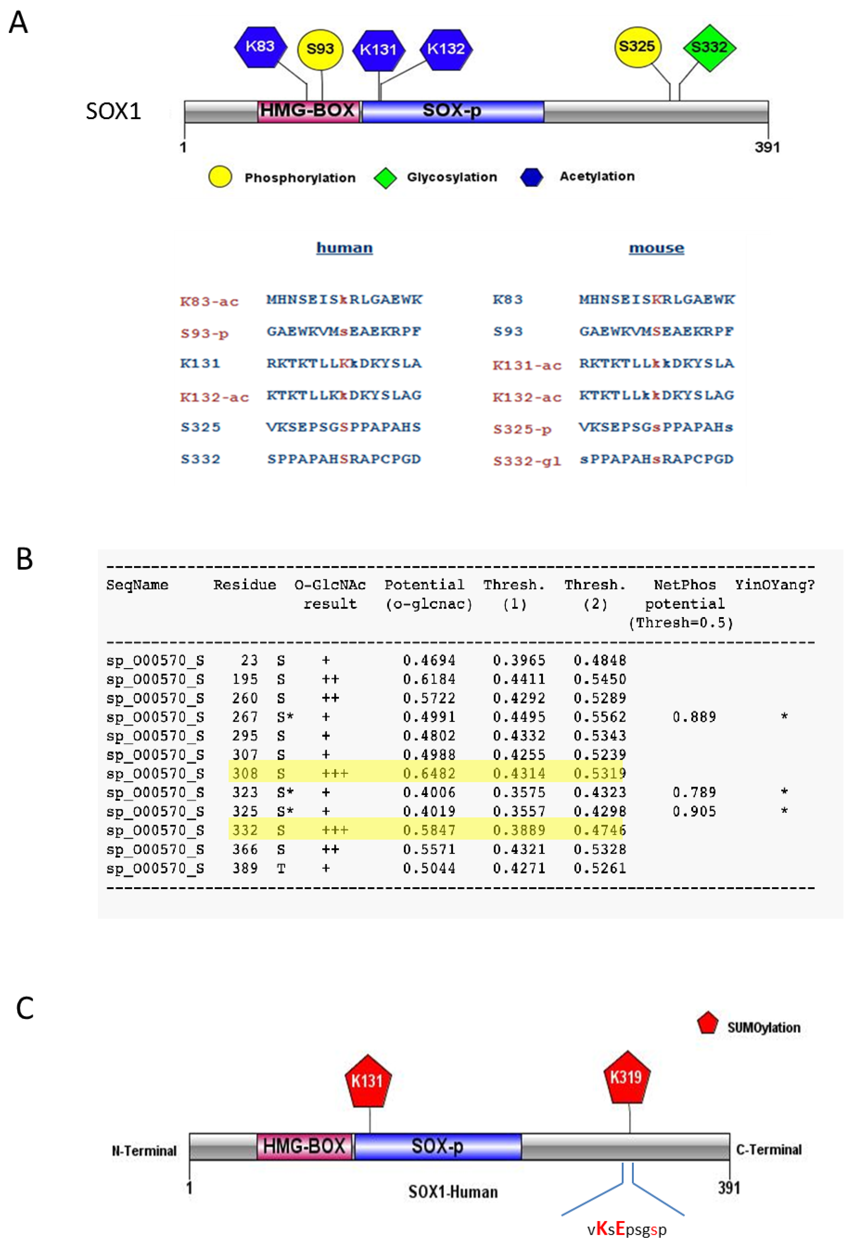 Cells 09 02471 g001
