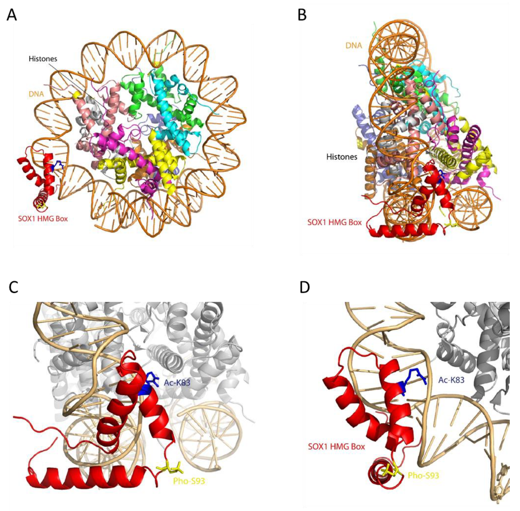Cells 09 02471 g005