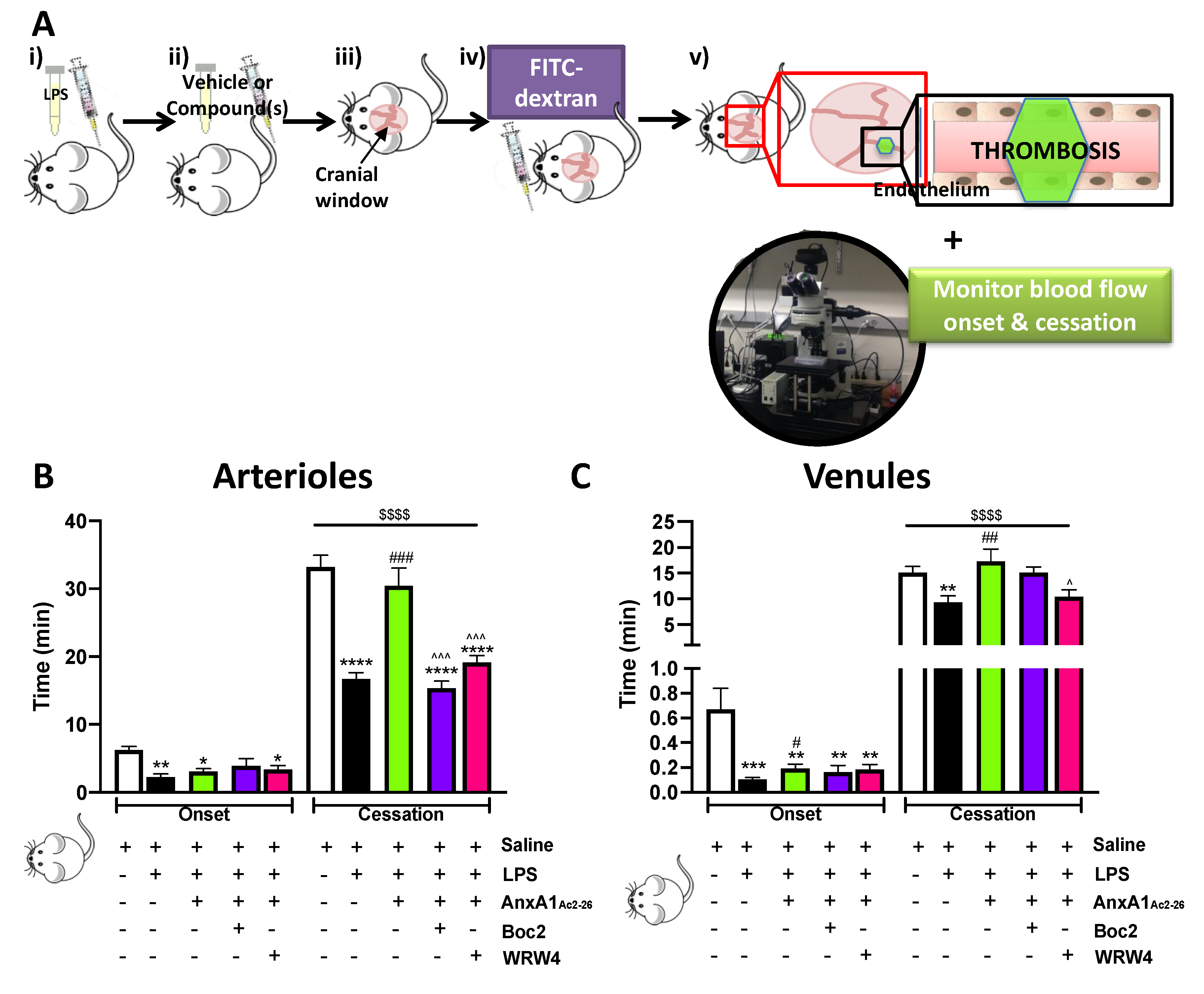 Cells 09 02473 g001 Cells 09 02473 g001