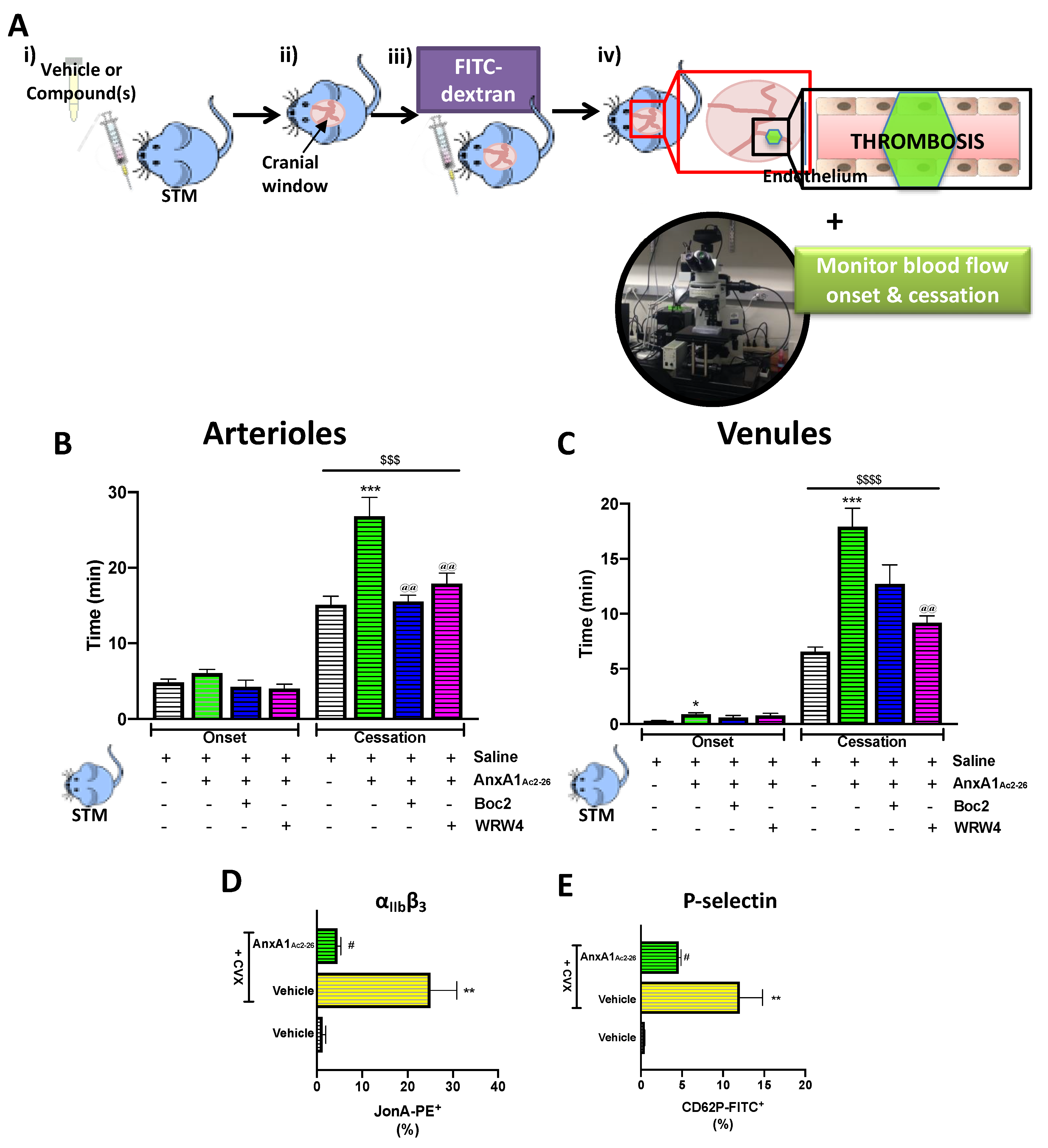 Cells 09 02473 g003 Cells 09 02473 g003