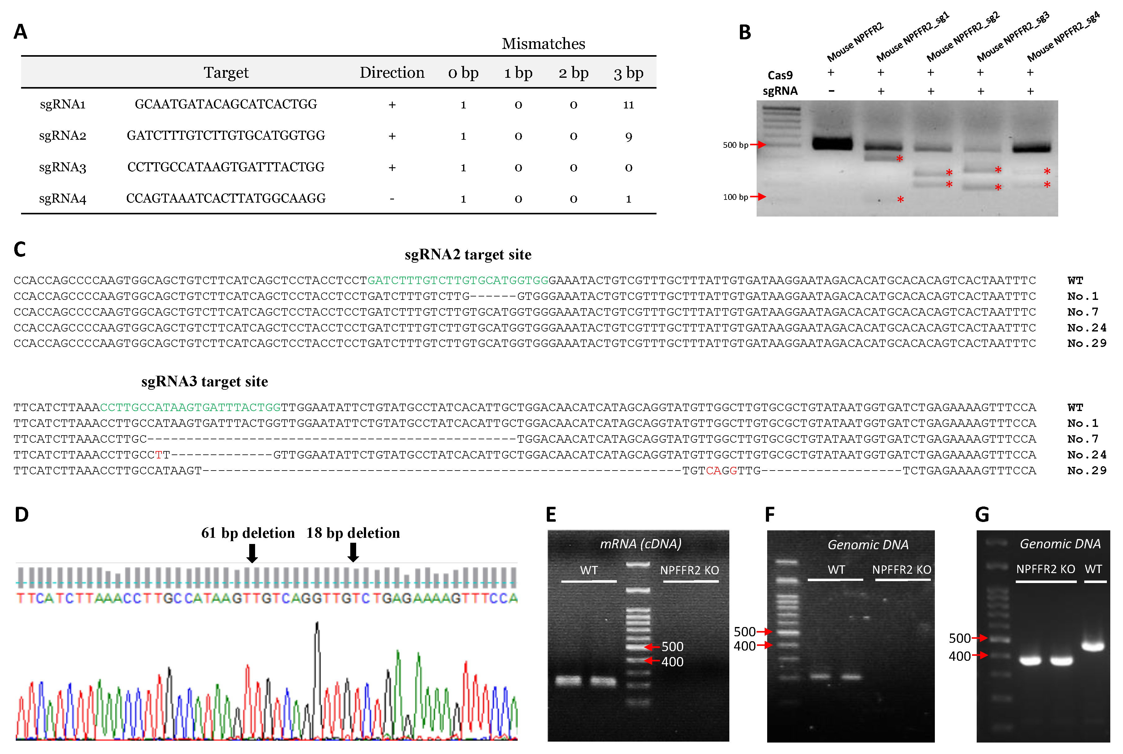 Cells 09 02479 g001 Cells 09 02479 g001