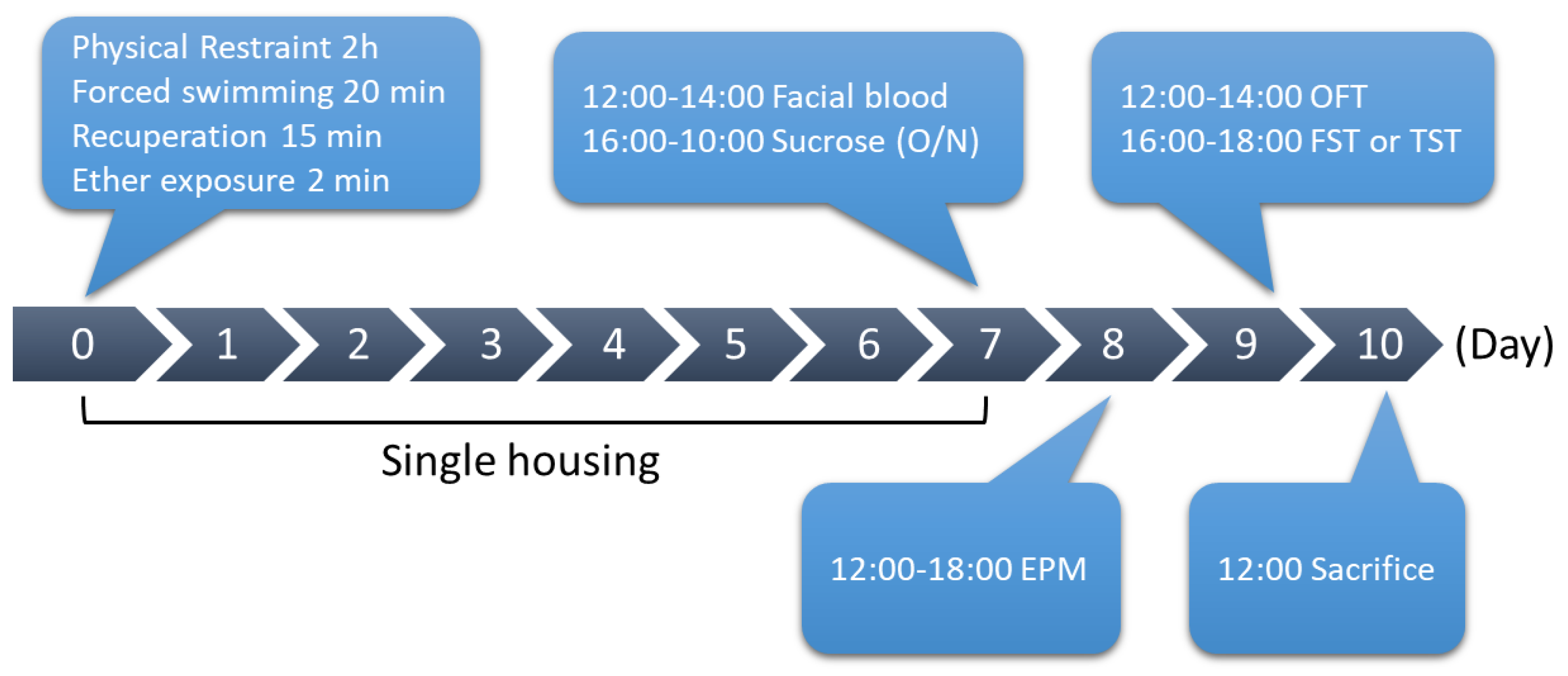Cells 09 02479 g002 Cells 09 02479 g002