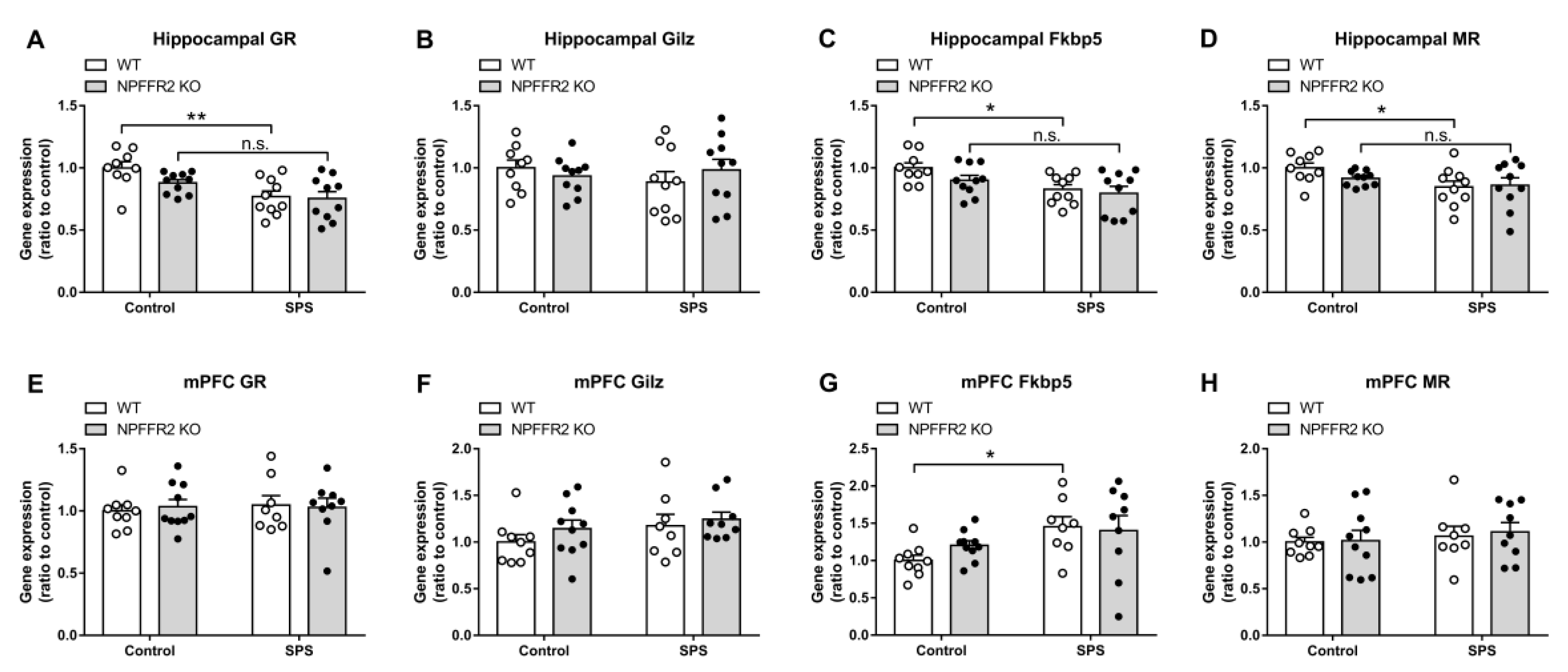 Cells 09 02479 g005 Cells 09 02479 g005