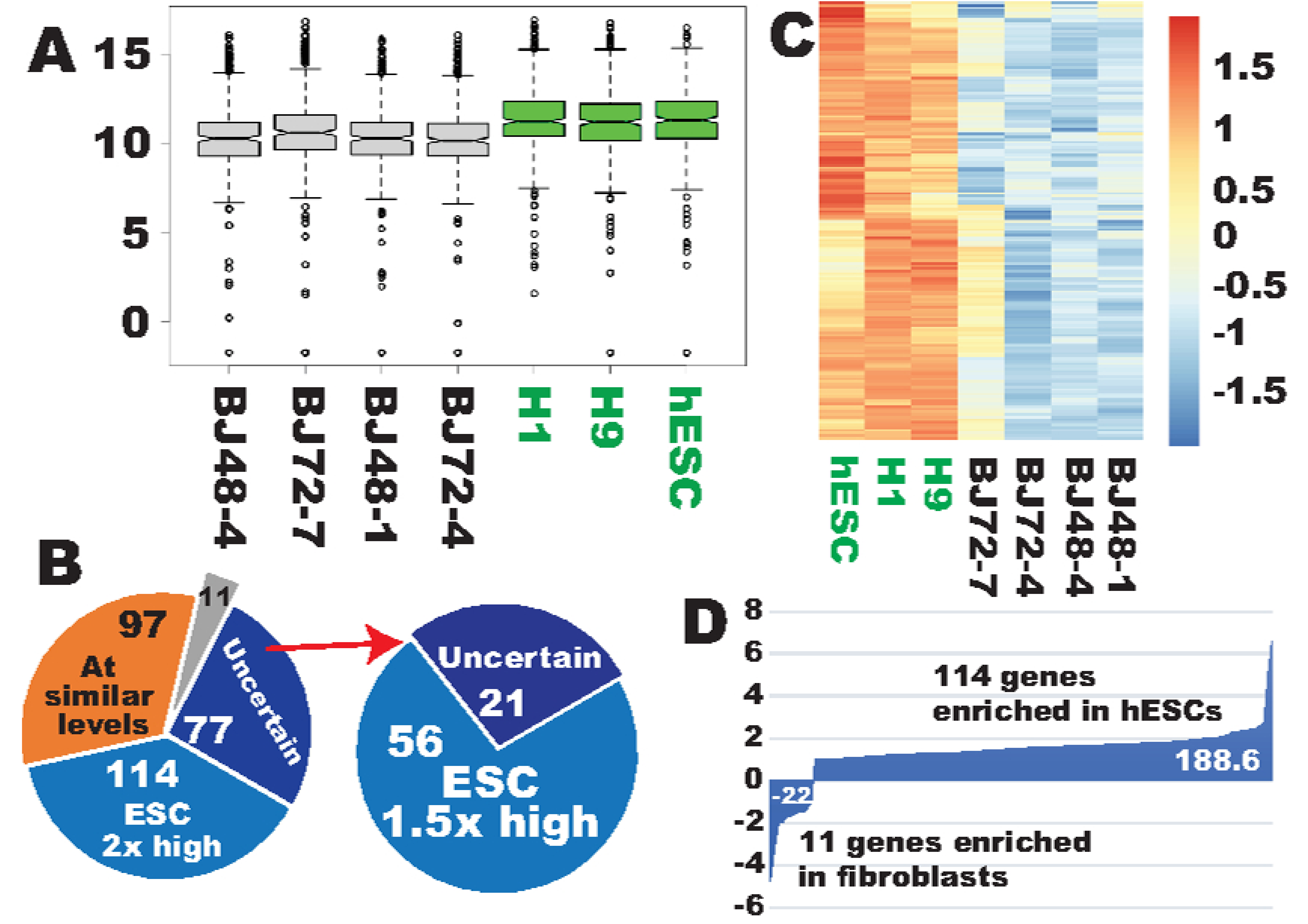 Cells 09 02484 g001 Cells 09 02484 g001