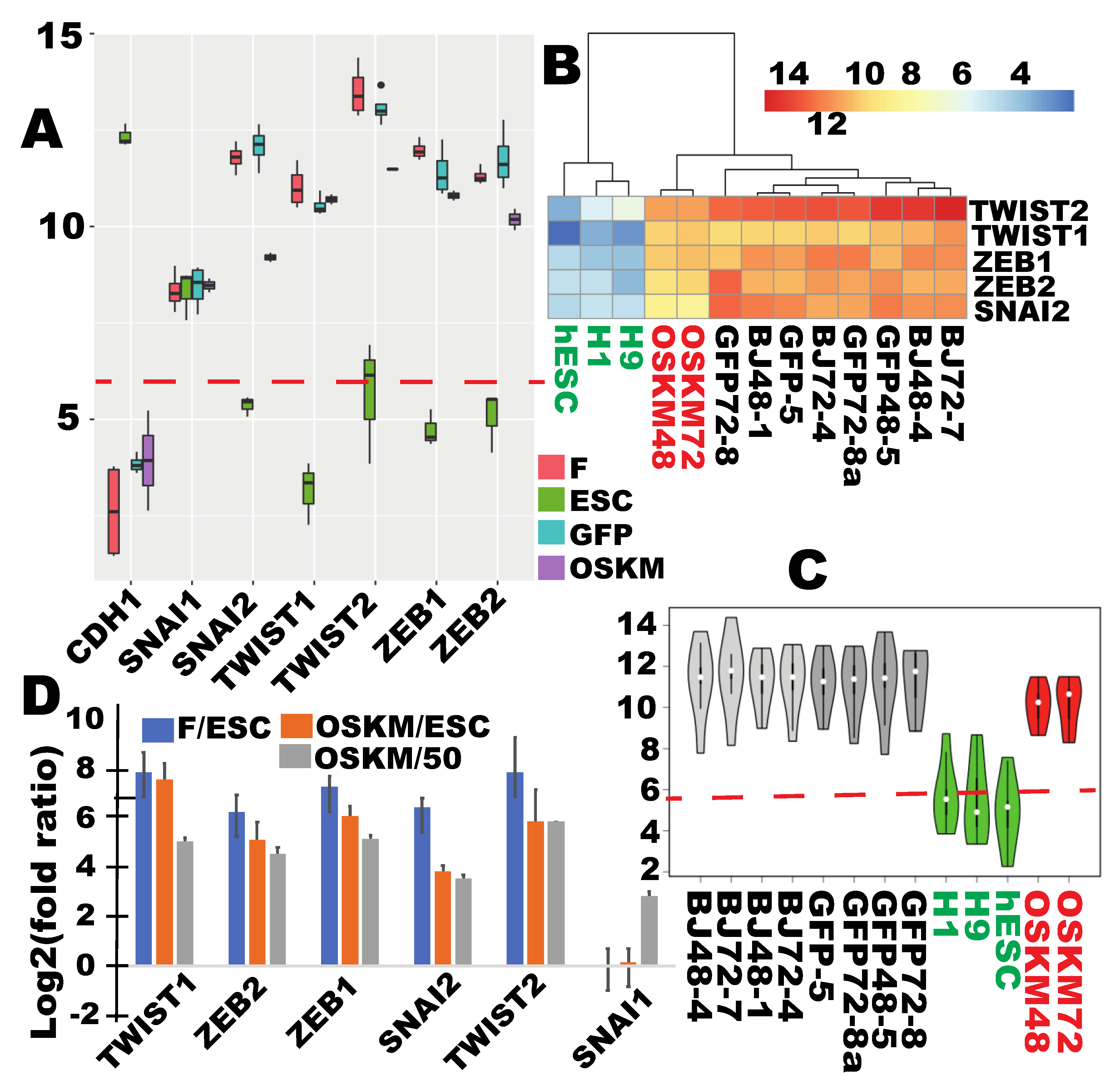 Cells 09 02484 g003 Cells 09 02484 g003
