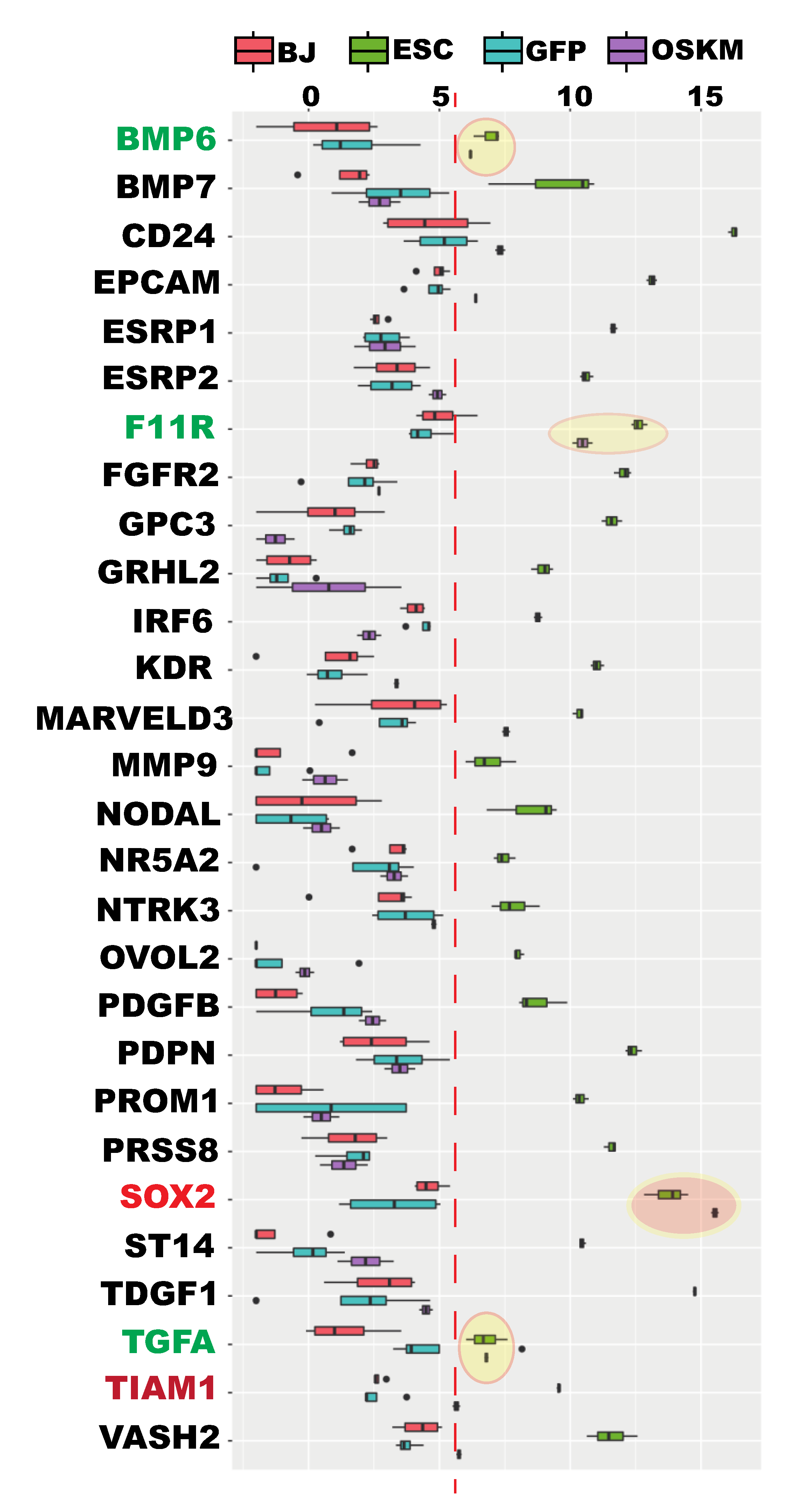 Cells 09 02484 g007 Cells 09 02484 g007