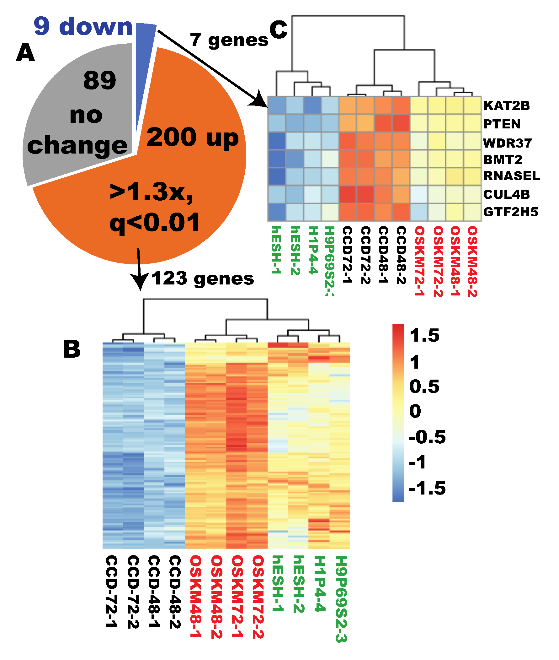 Cells 09 02484 g010 Cells 09 02484 g010