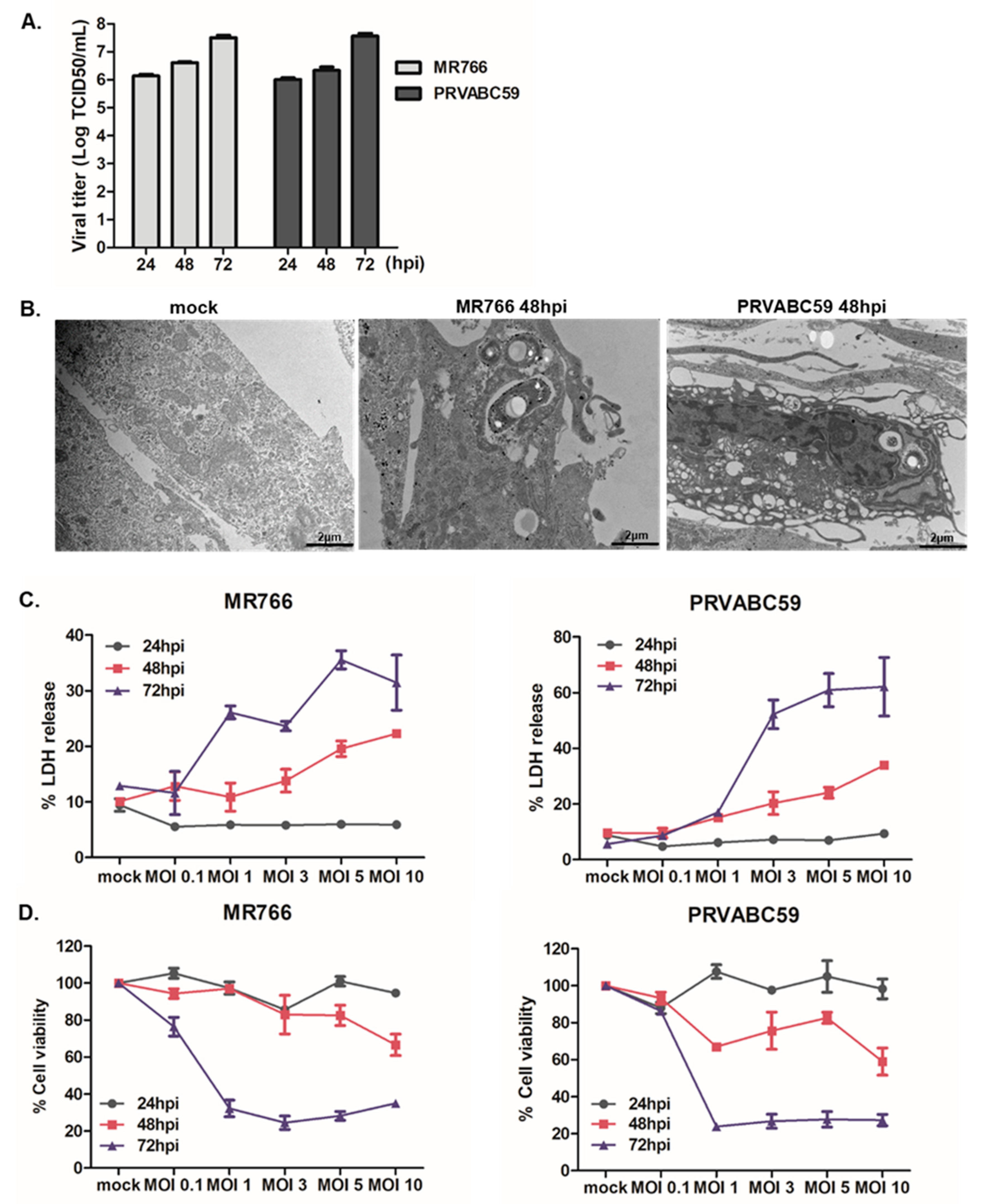 Cells 09 02487 g001 Cells 09 02487 g001