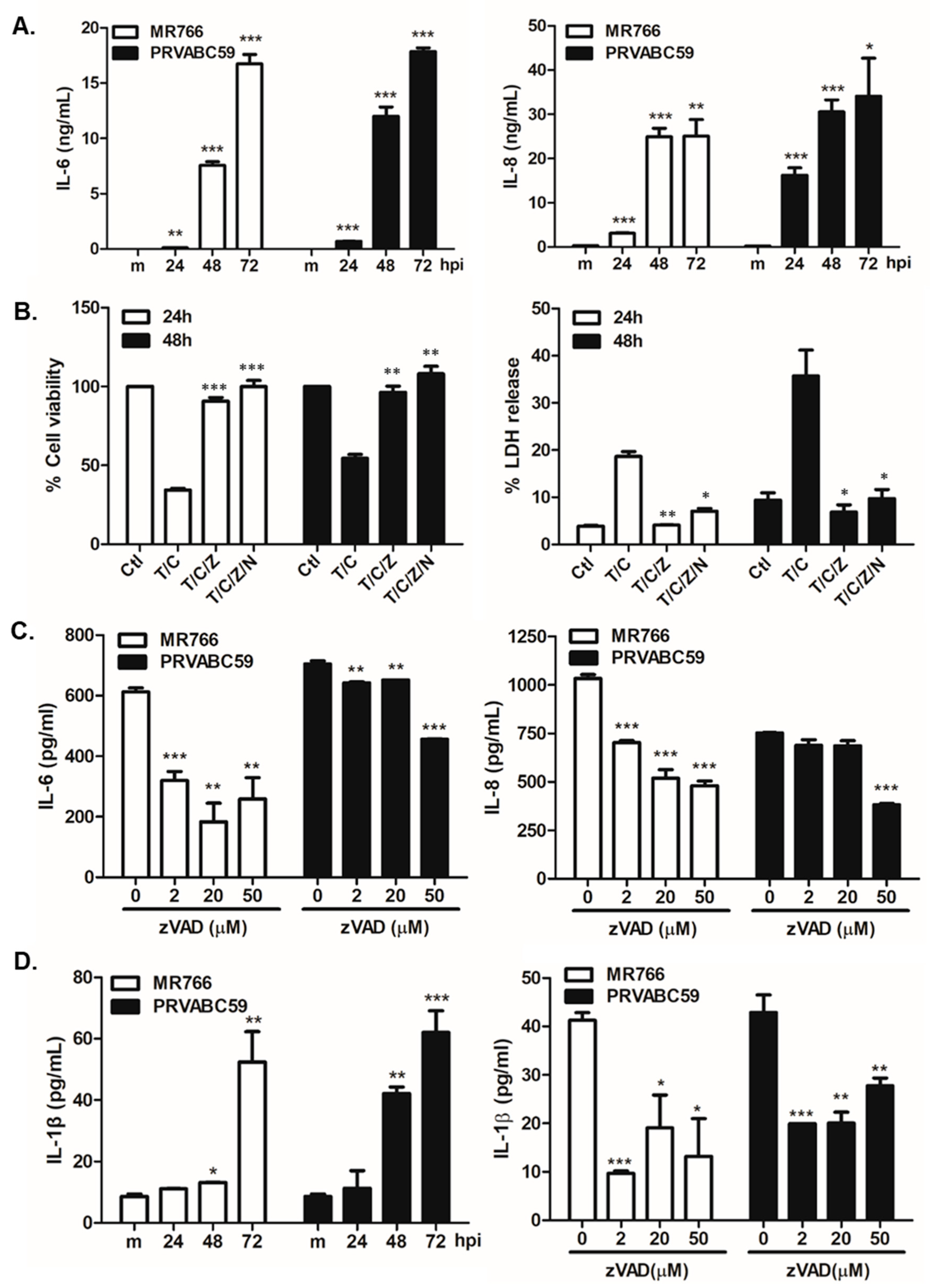 Cells 09 02487 g003 Cells 09 02487 g003